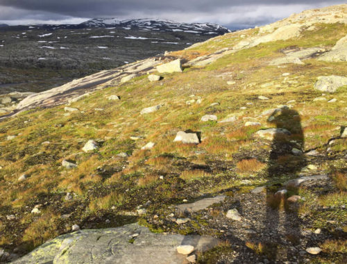 Tour Hardangervidda 2017