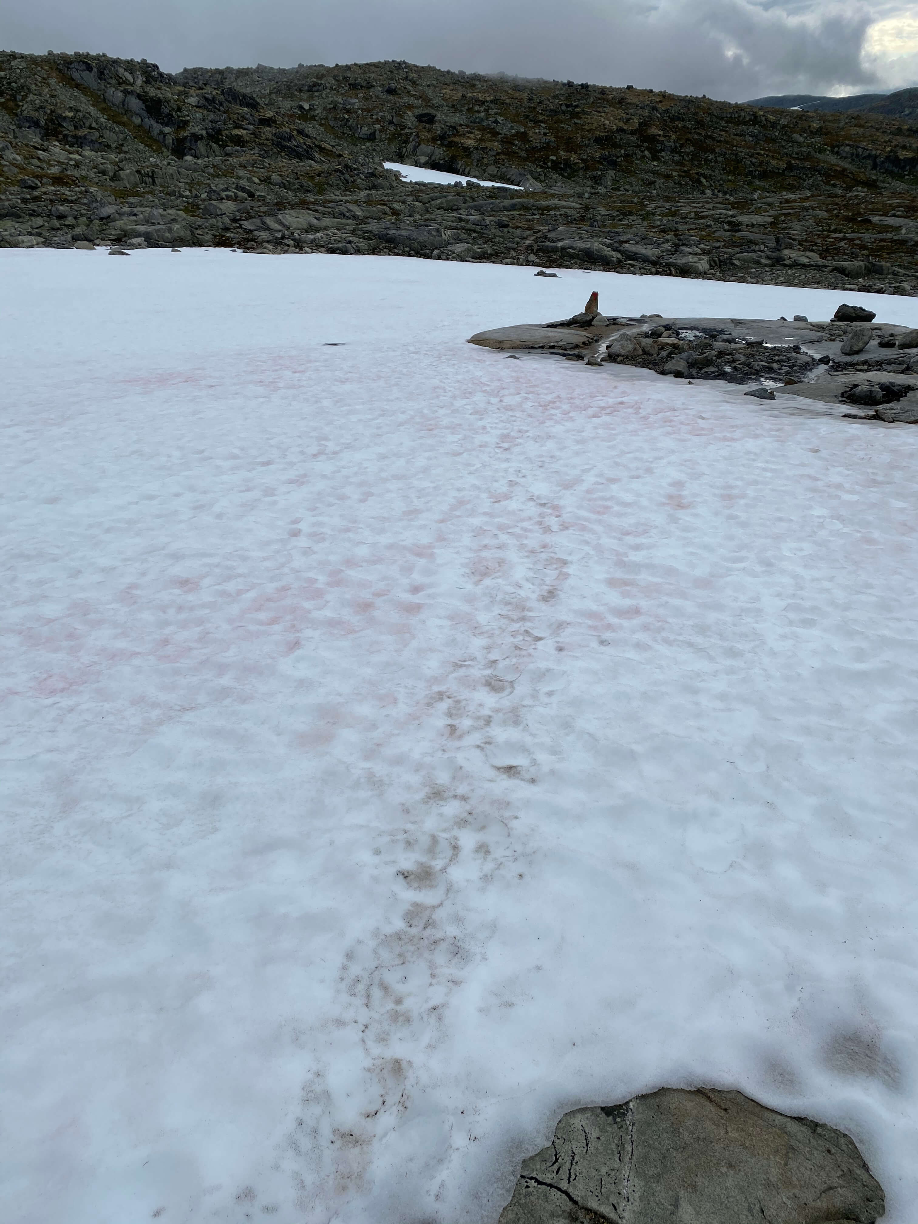Hardangervidda Tour 2020 Finse