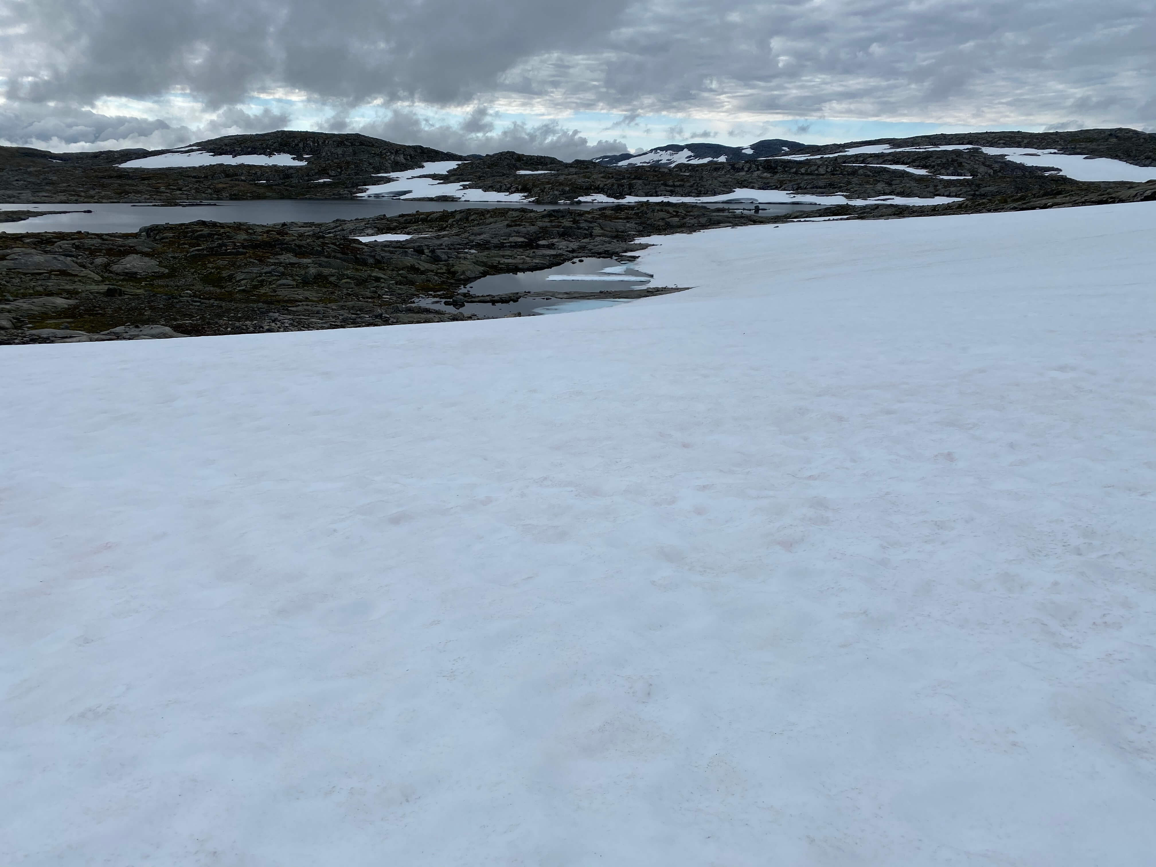 Hardangervidda Tour 2020 Finse