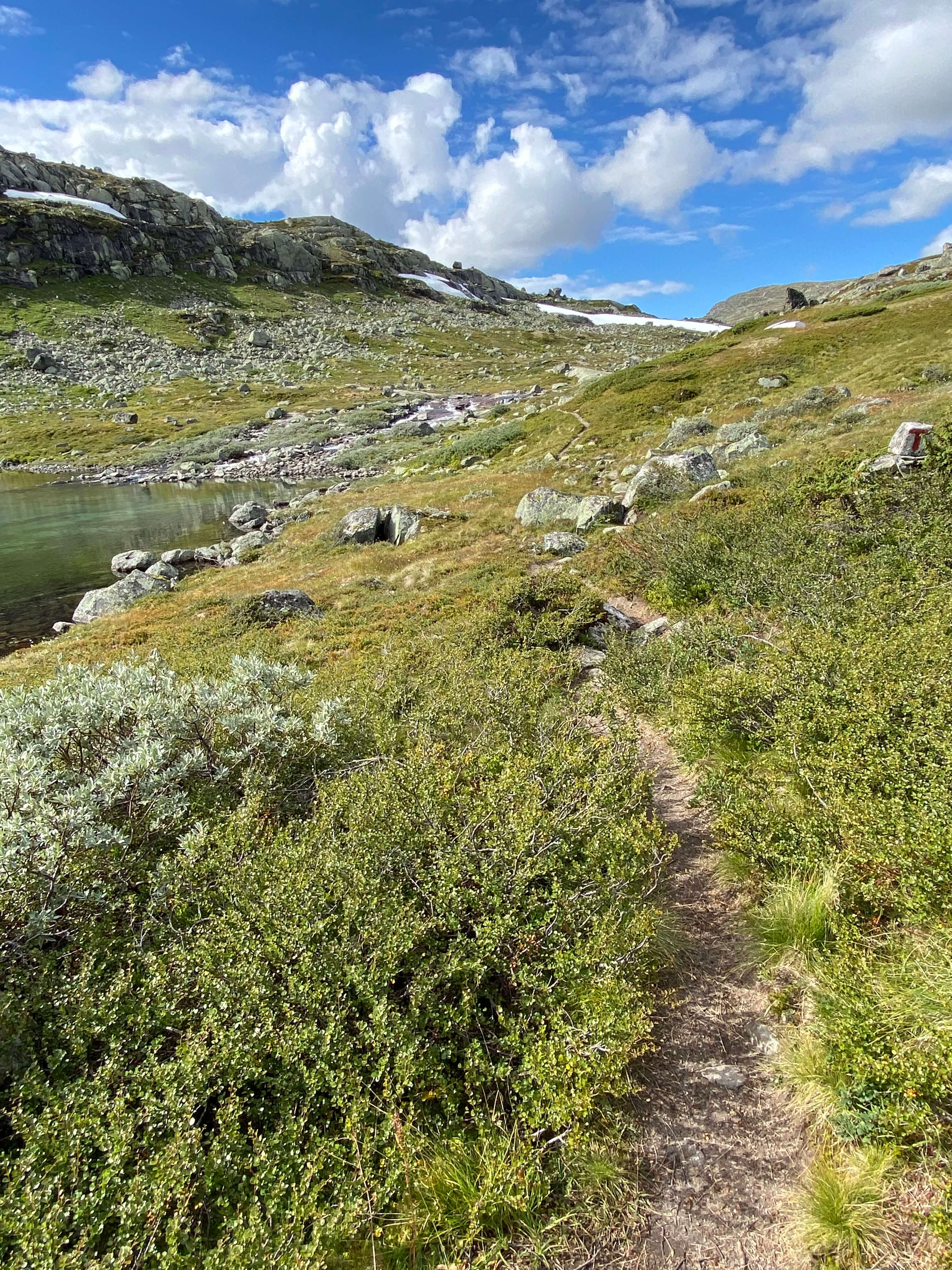 Hardangervidda Tour 2020