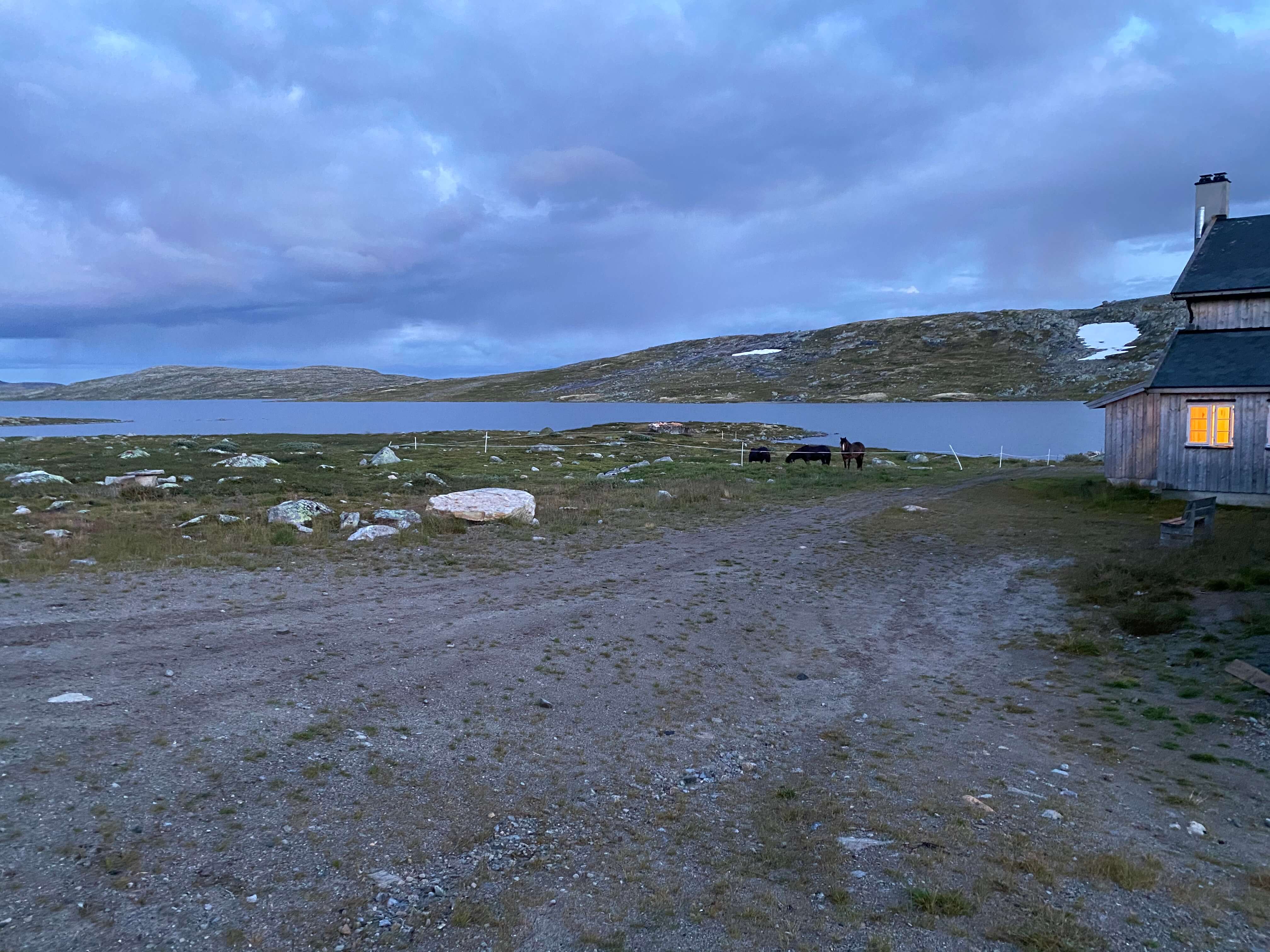Hardangervidda Tour 2020 Kraekkja