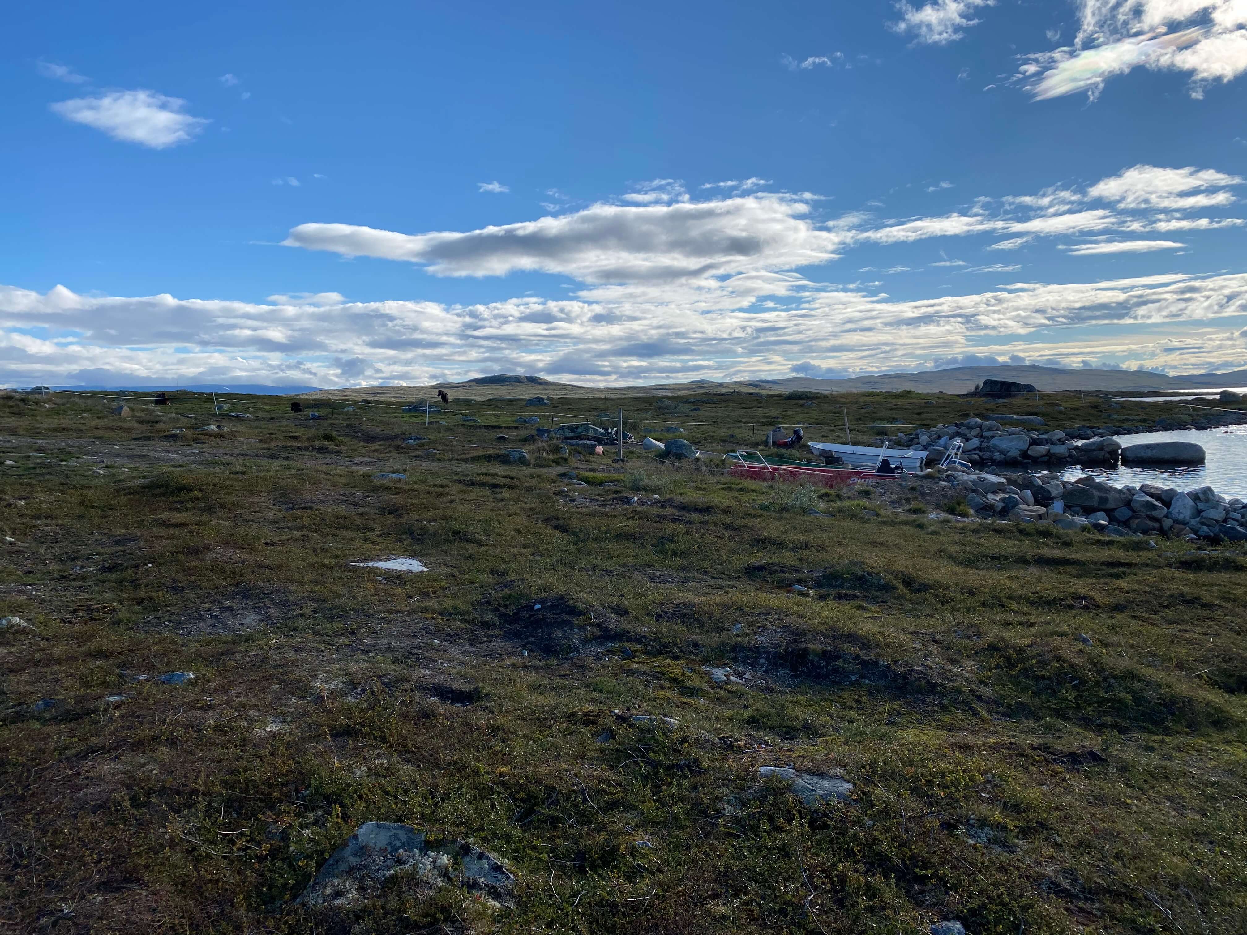Hardangervidda Tour 2020 Kraekkja