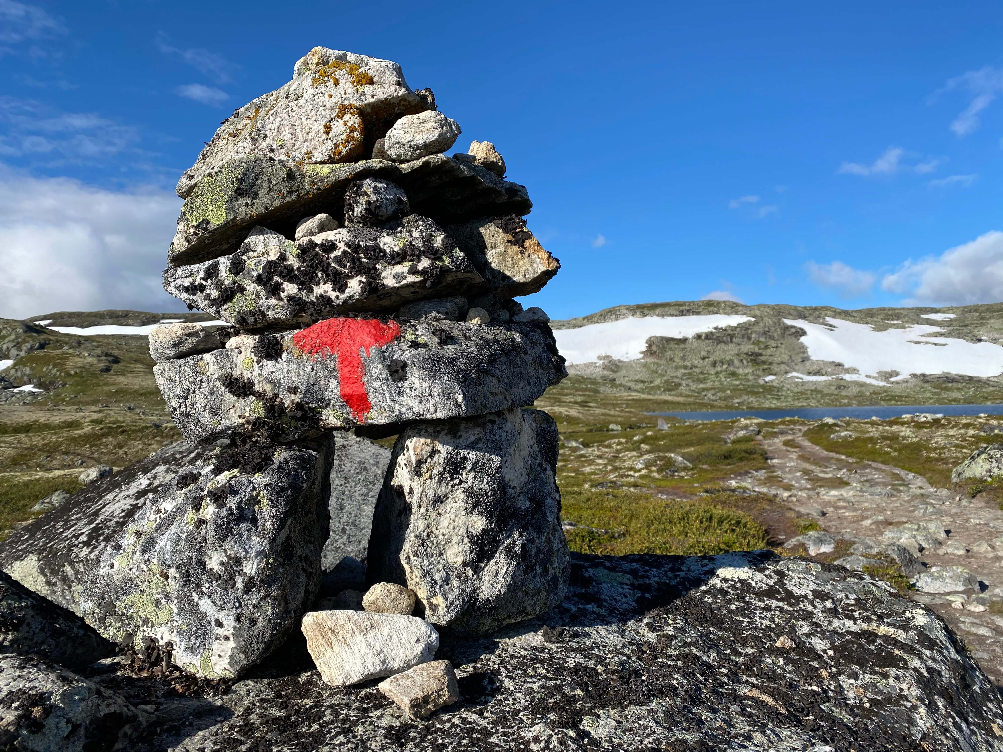 Hardangervidda Tour 2020 Kraekkja