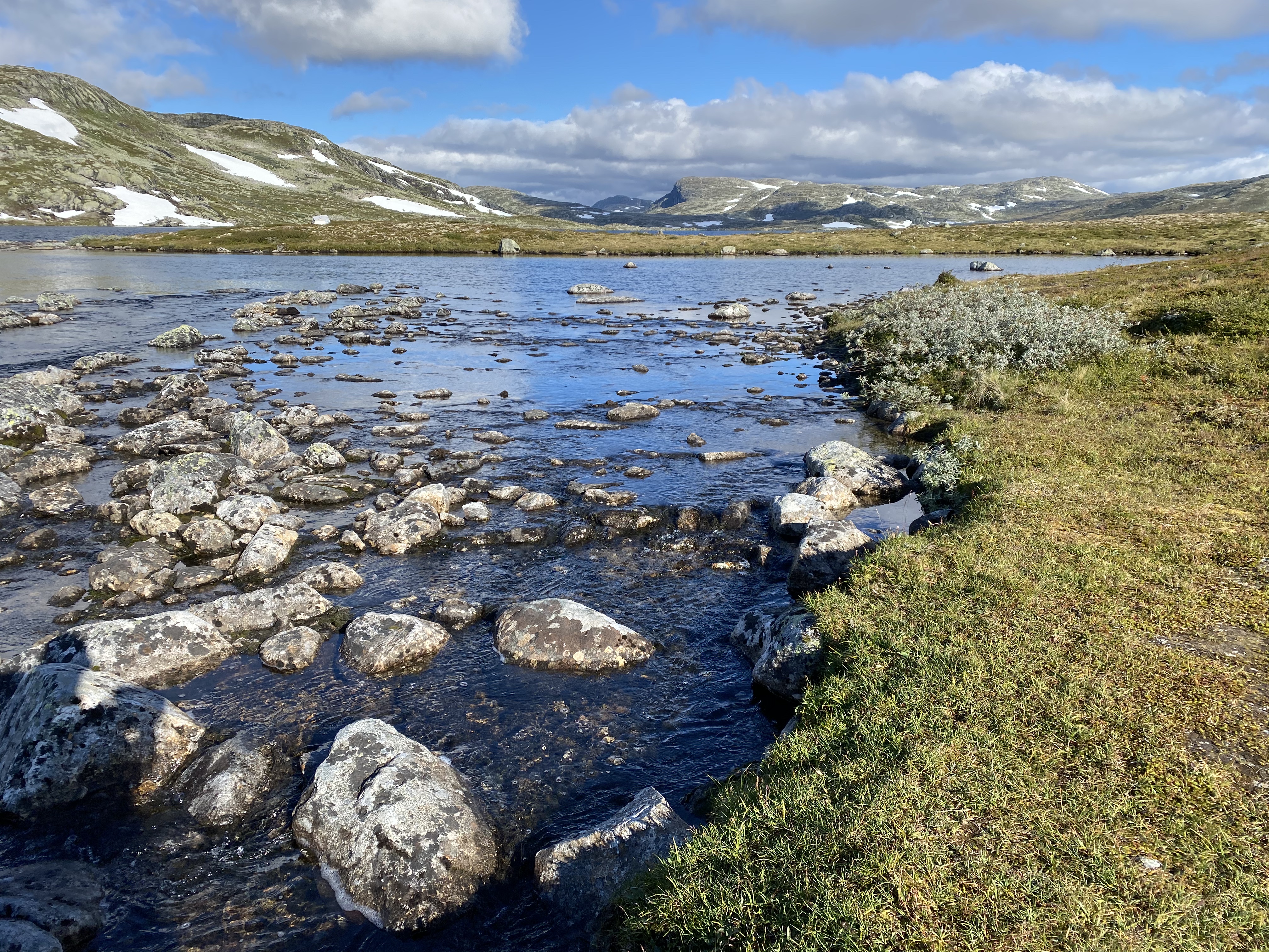 Hardangervidda Tour 2020 Kraekkja