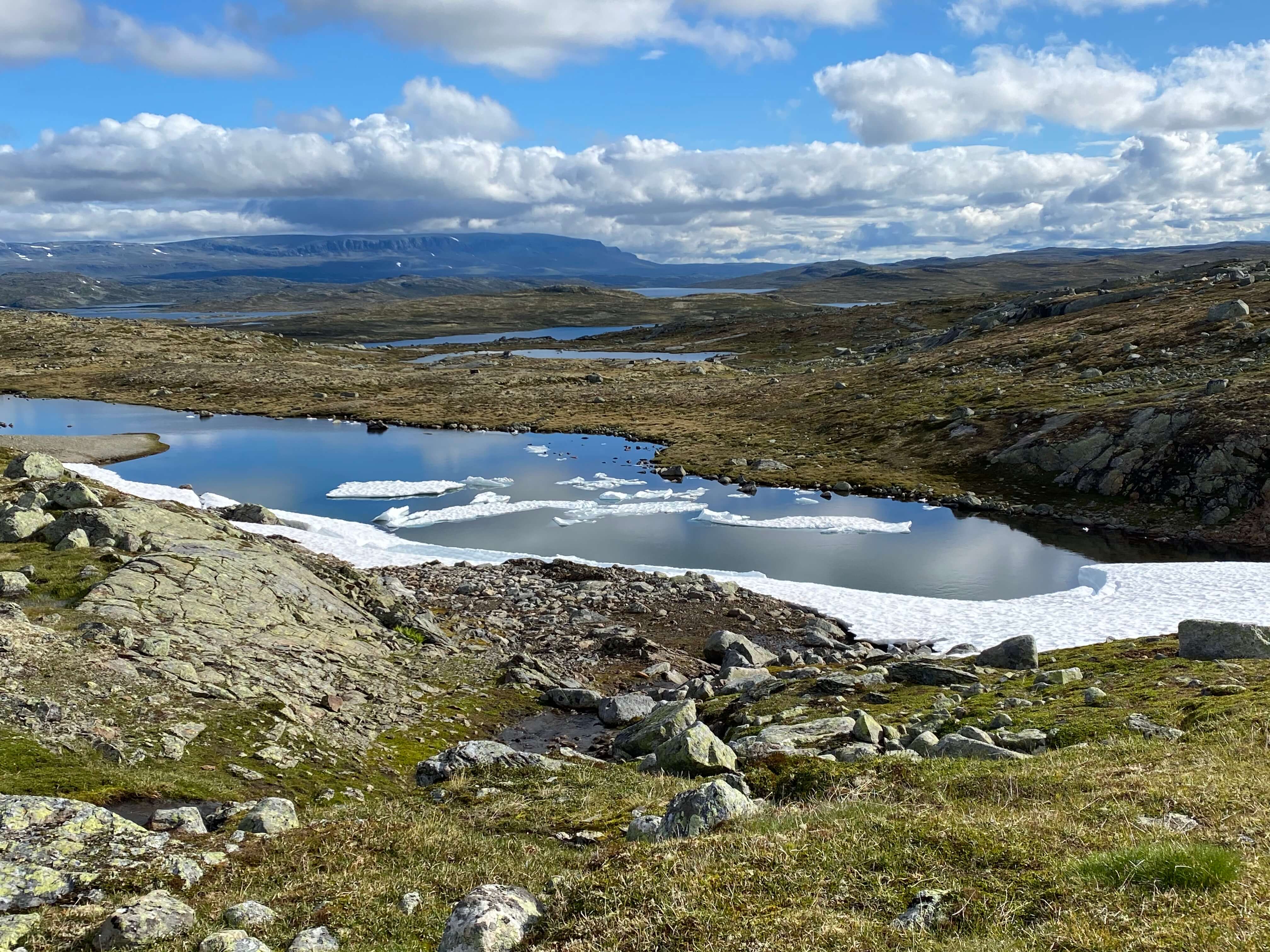 Hardangervidda Tour 2020 Kraekkja