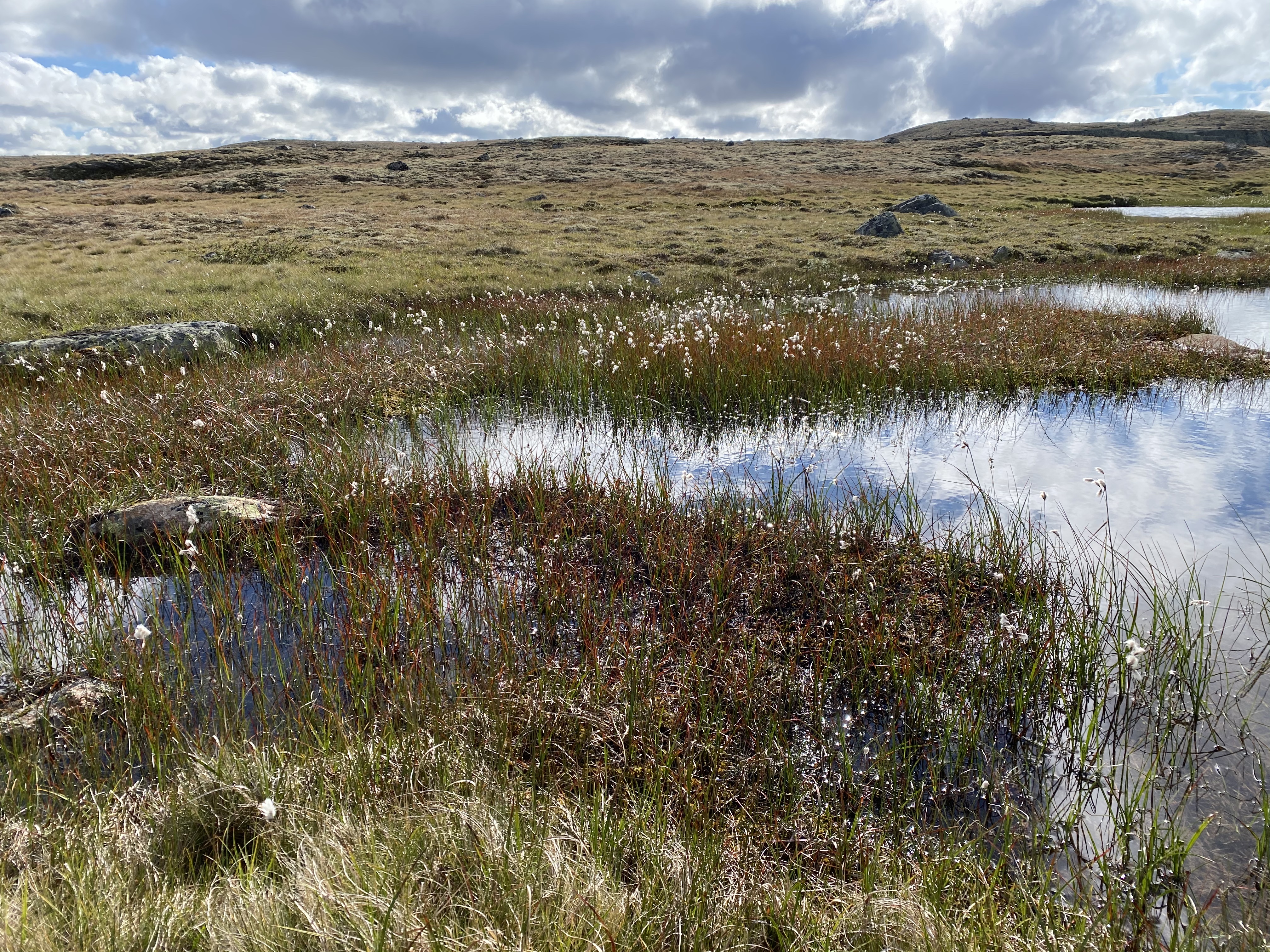 Hardangervidda Tour 2020 Kraekkja