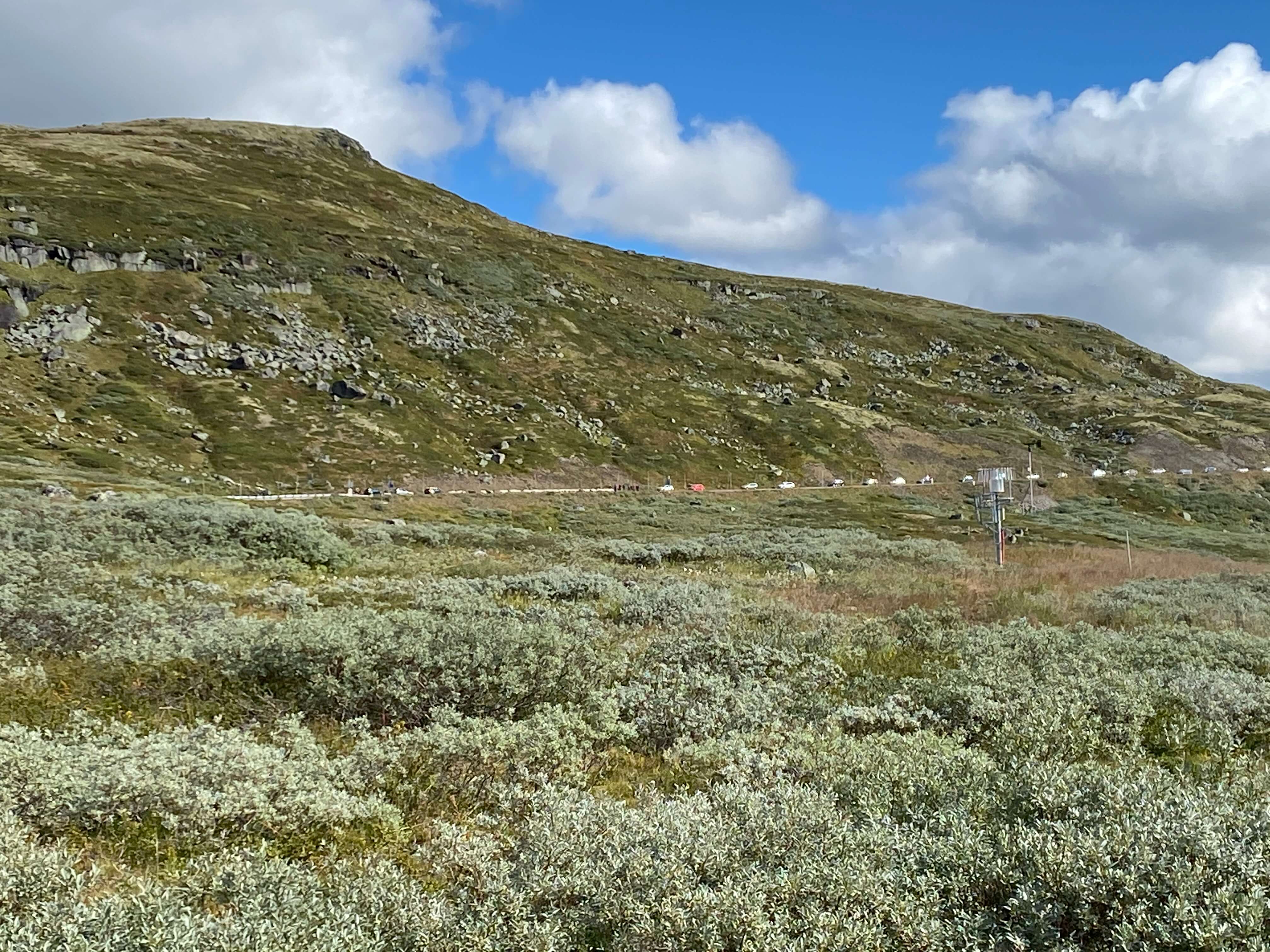 Hardangervidda Tour 2020 Halne