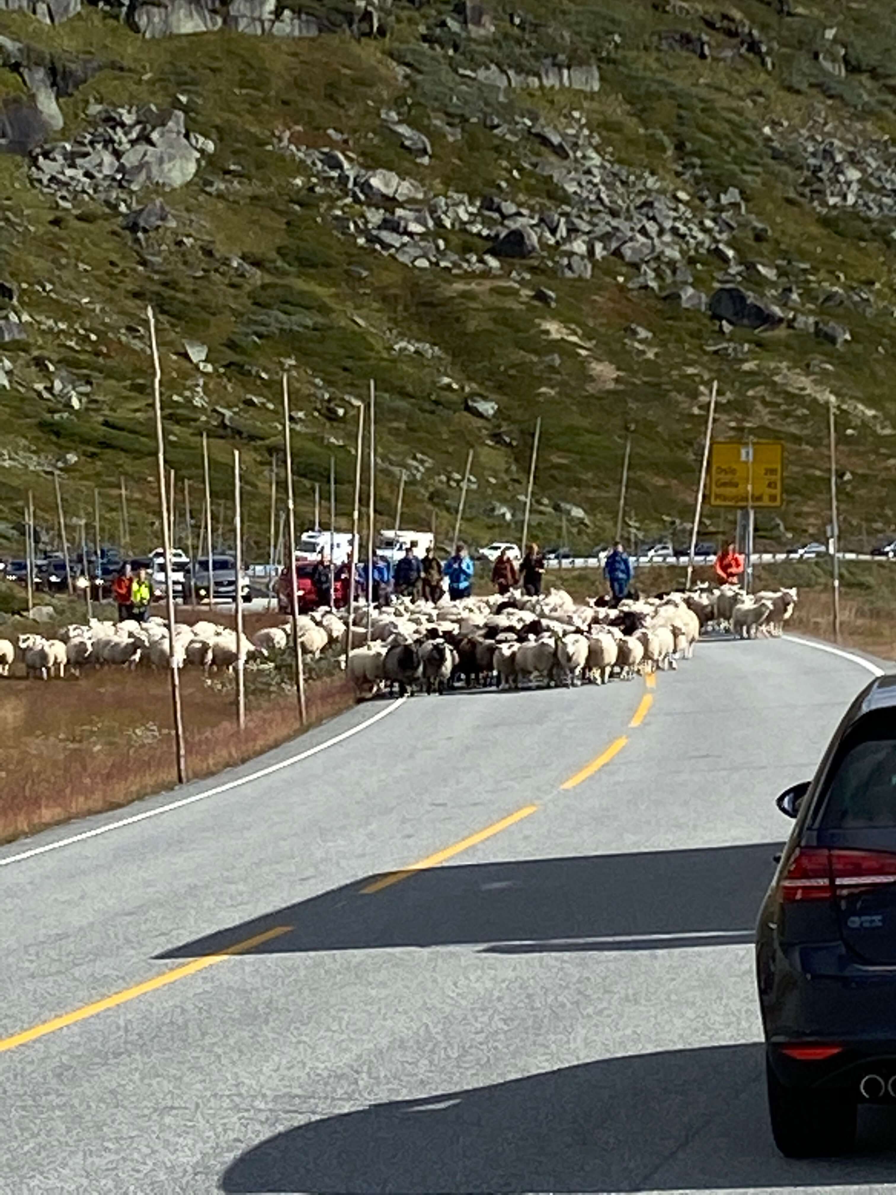 Hardangervidda Tour 2020 Halne