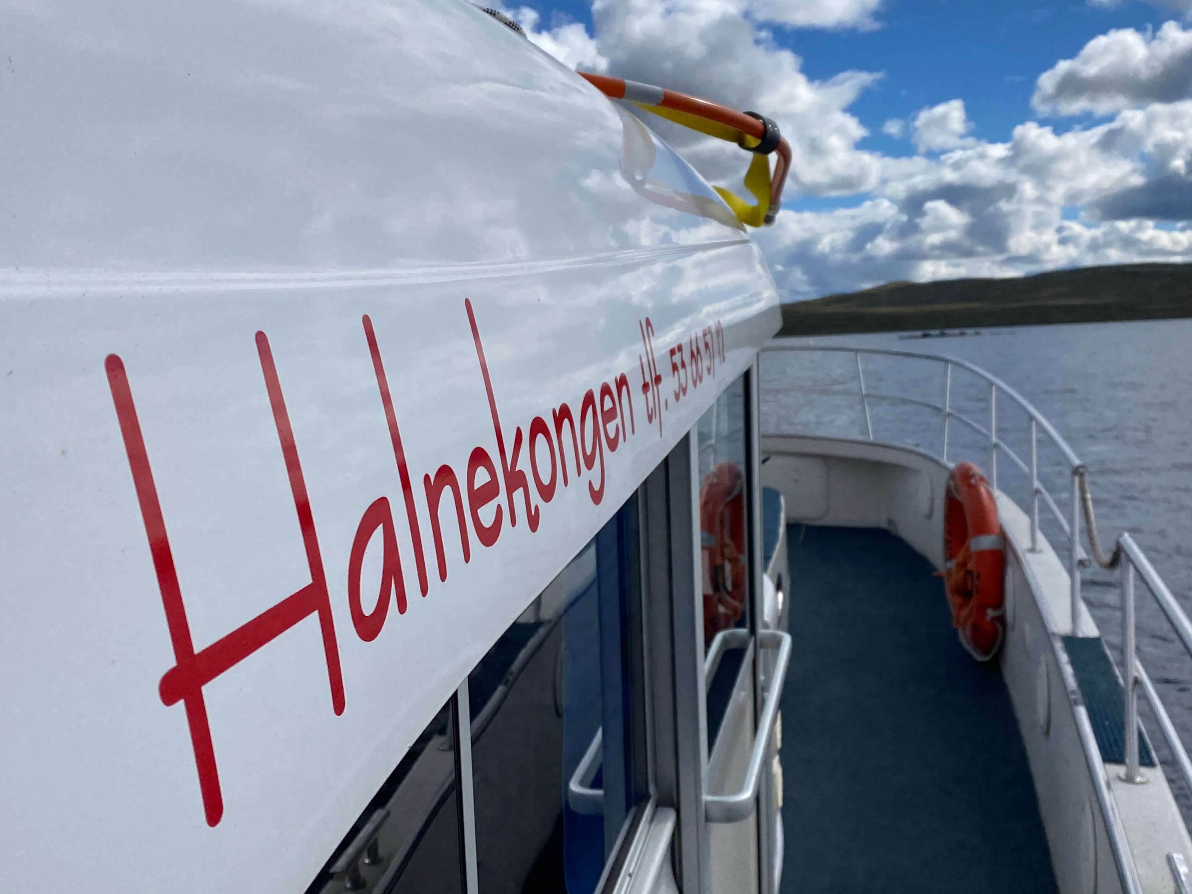 Hardangervidda Tour 2020 Halne