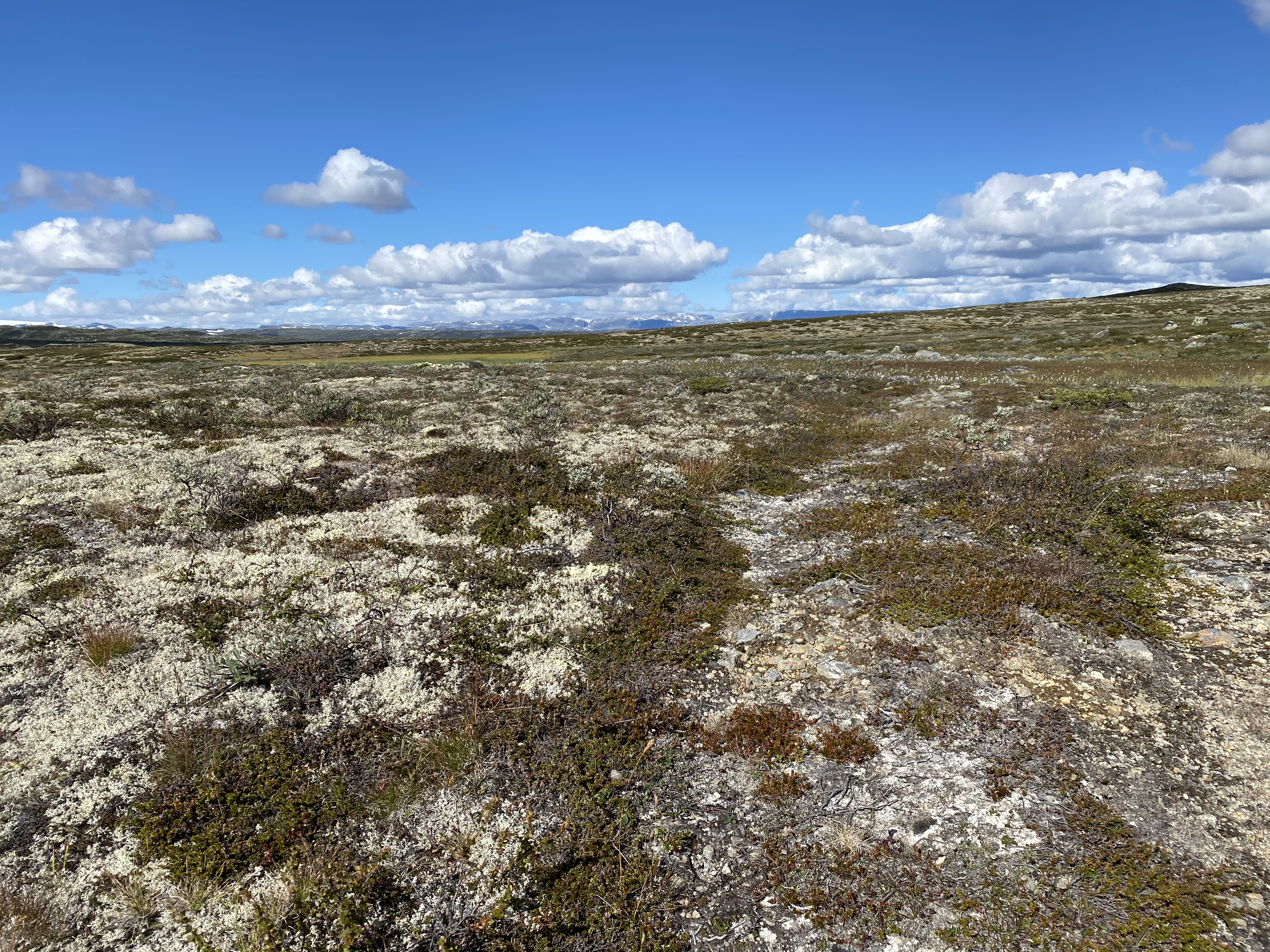Hardangervidda Tour 2020 Rauhelleren