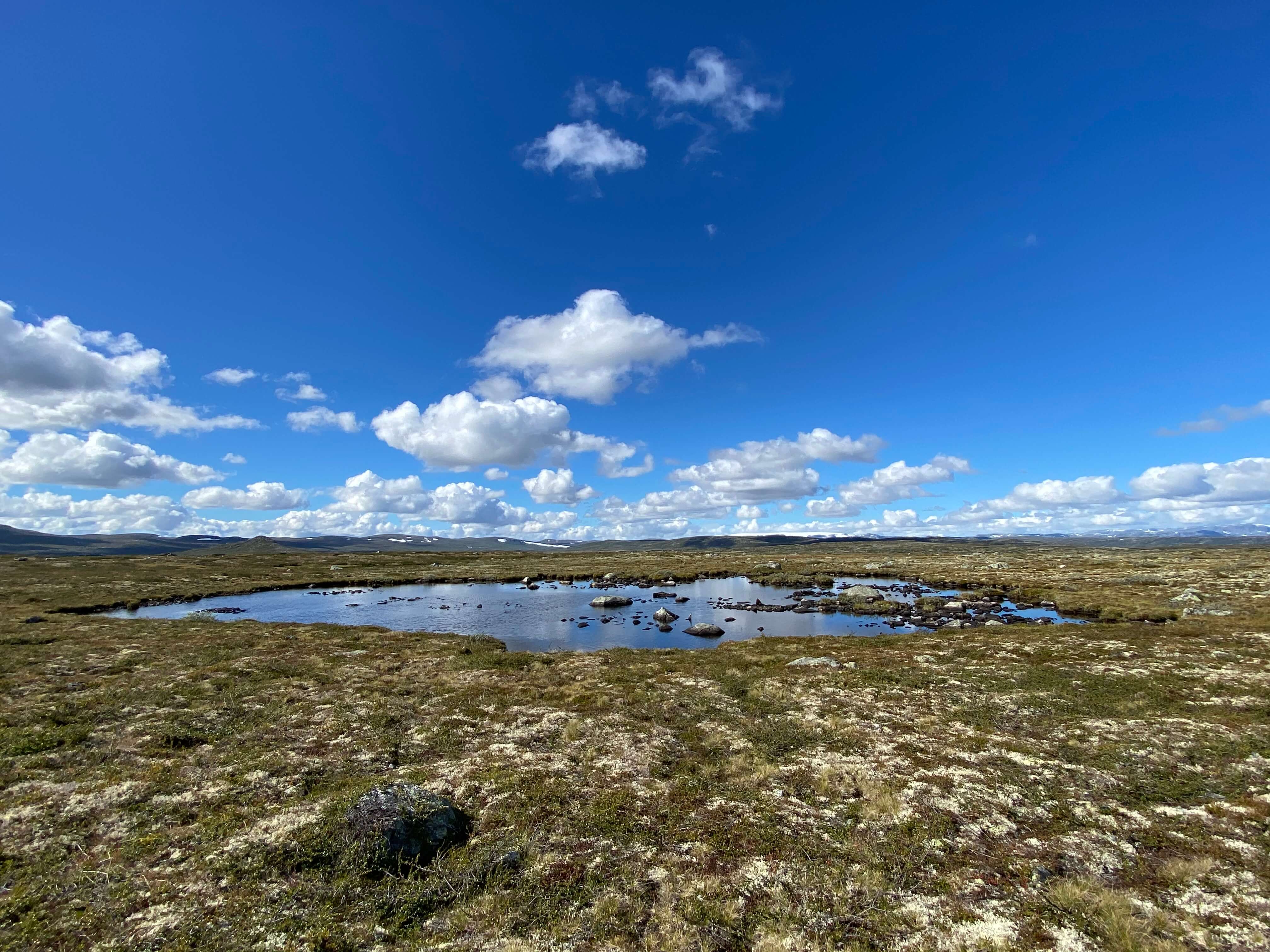 Hardangervidda Tour 2020 Rauhelleren
