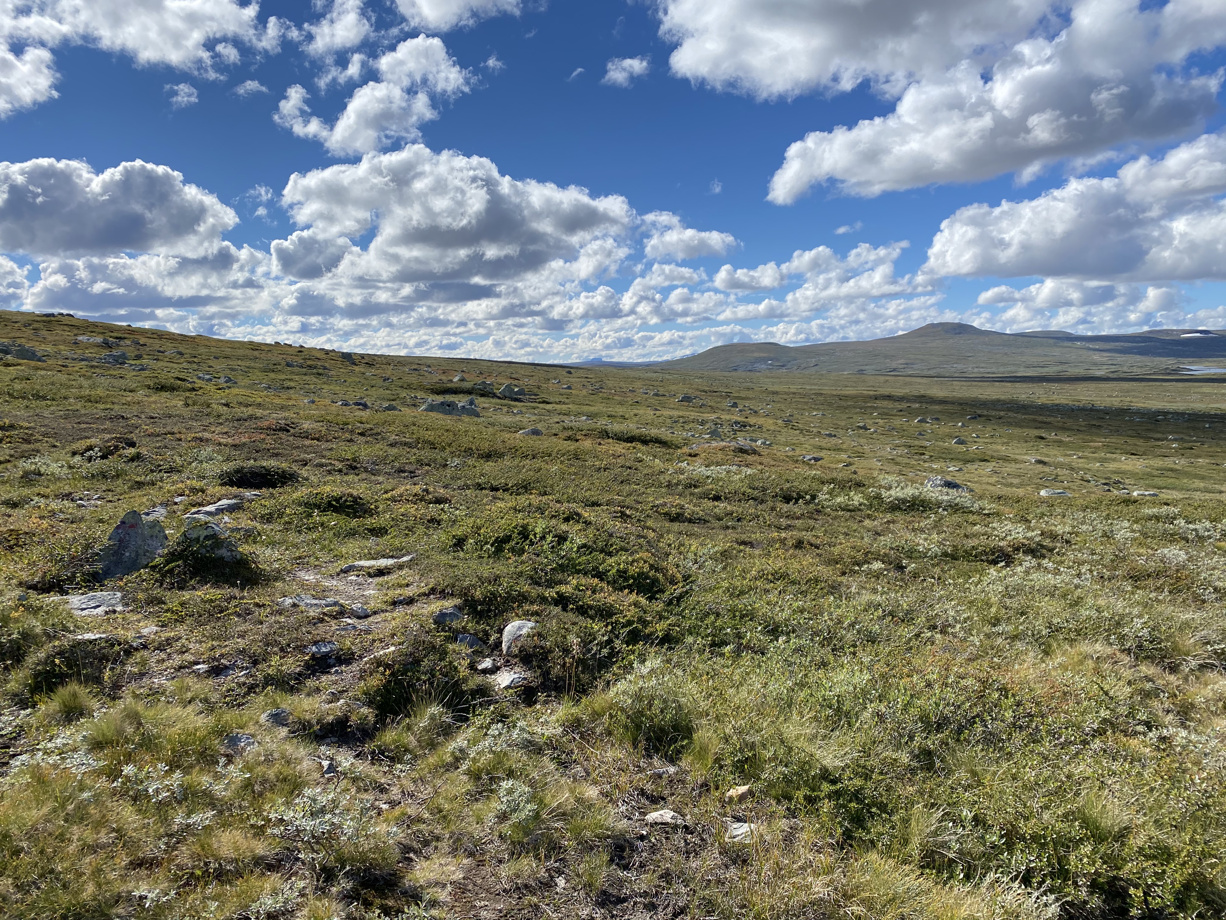 Hardangervidda Tour 2020 Rauhelleren