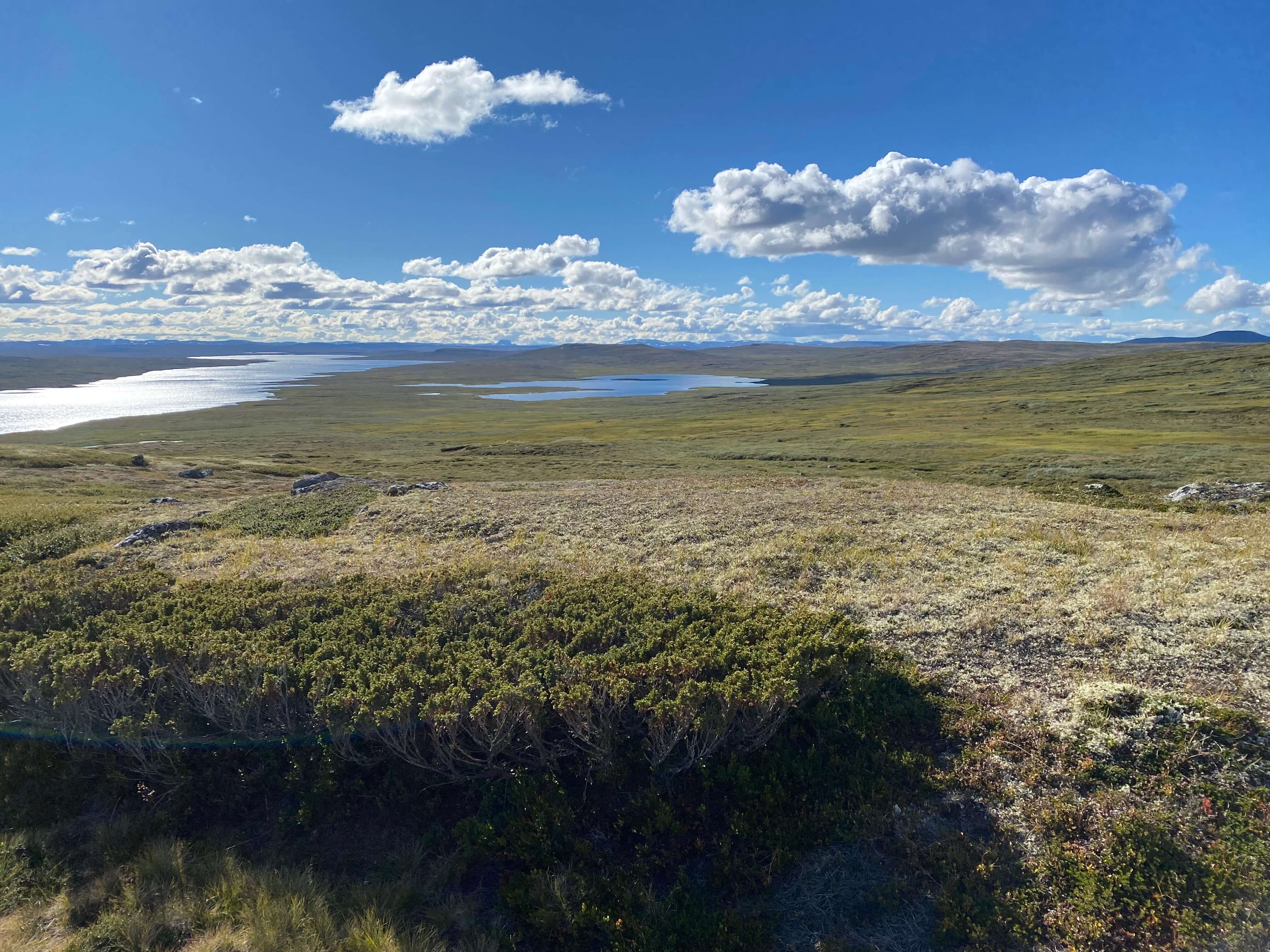 Hardangervidda Tour 2020 Rauhelleren