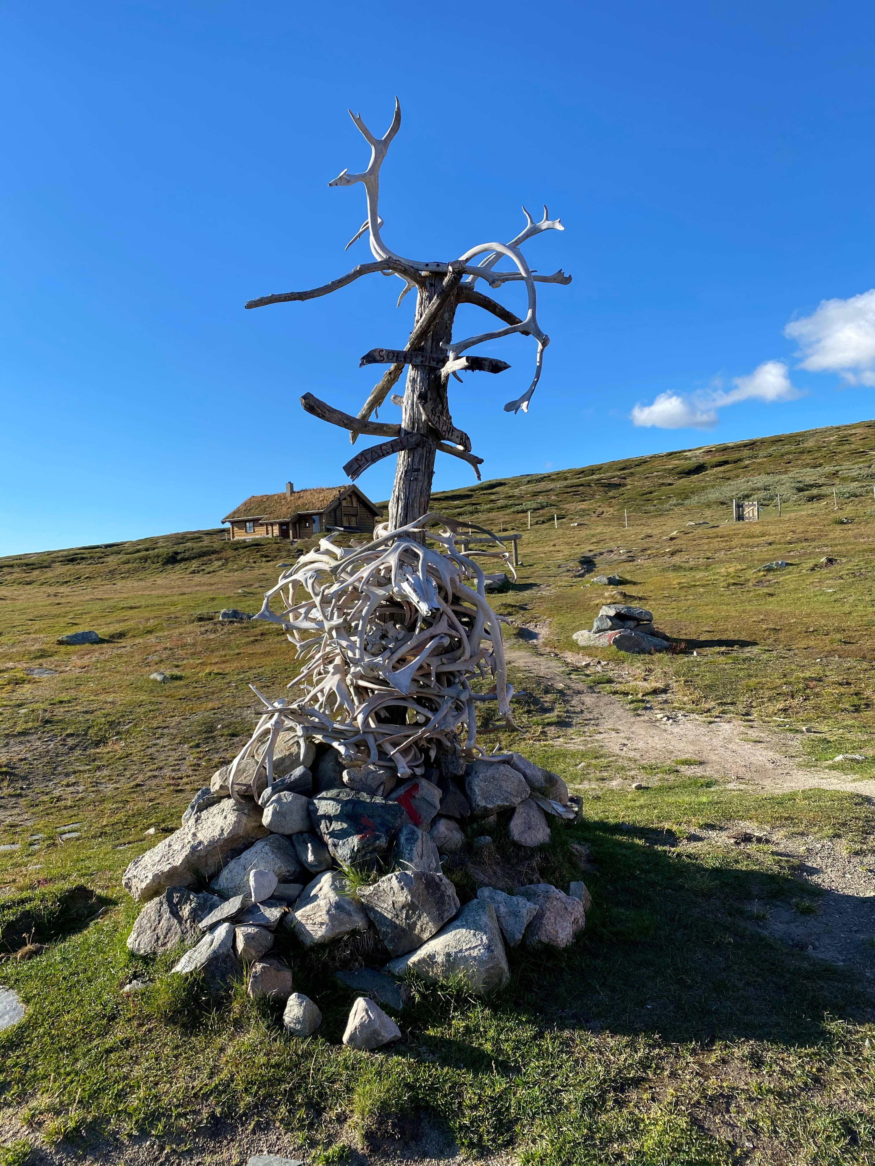 Hardangervidda Tour 2020 Rauhelleren