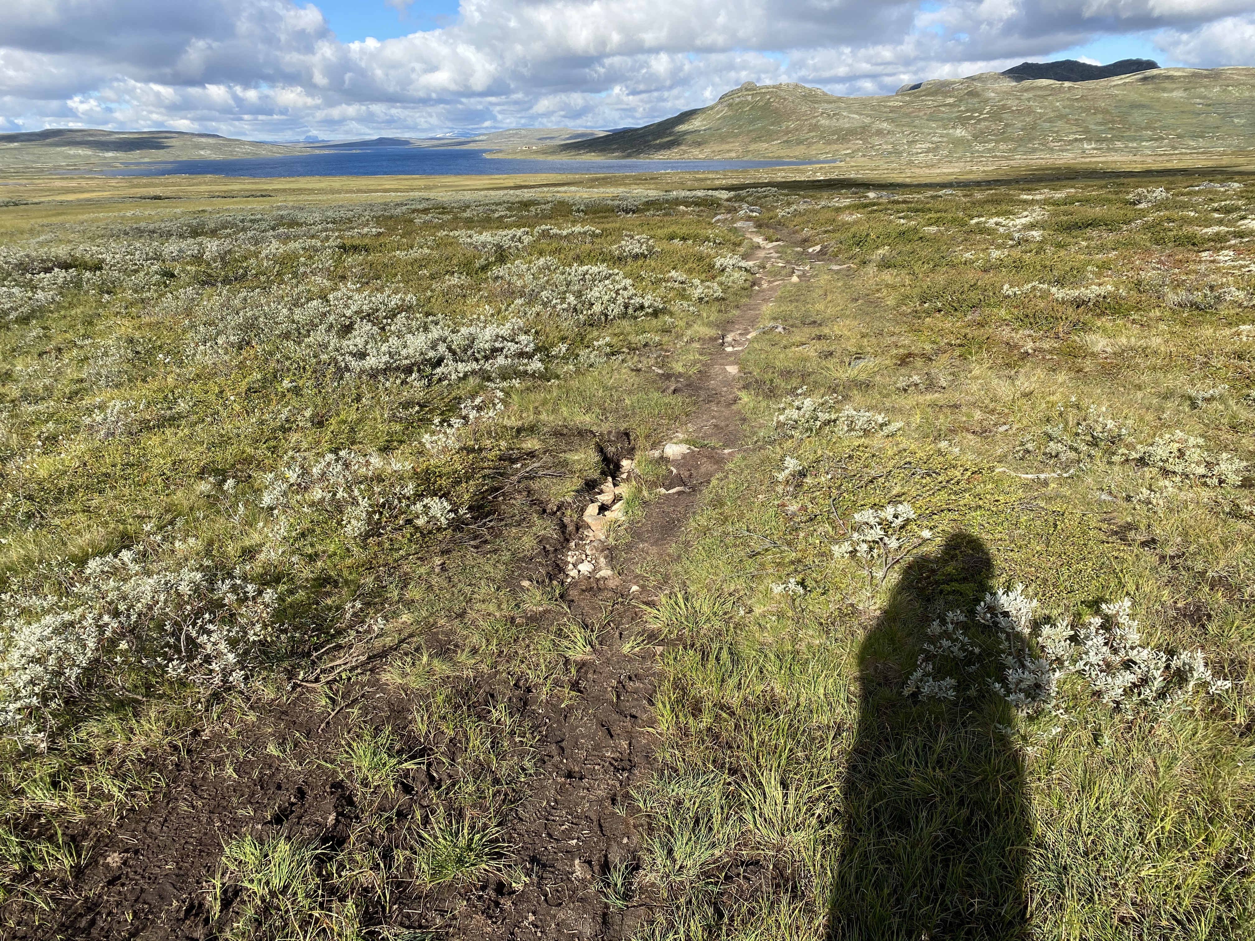 Hardangervidda Tour 2020 Rauhelleren