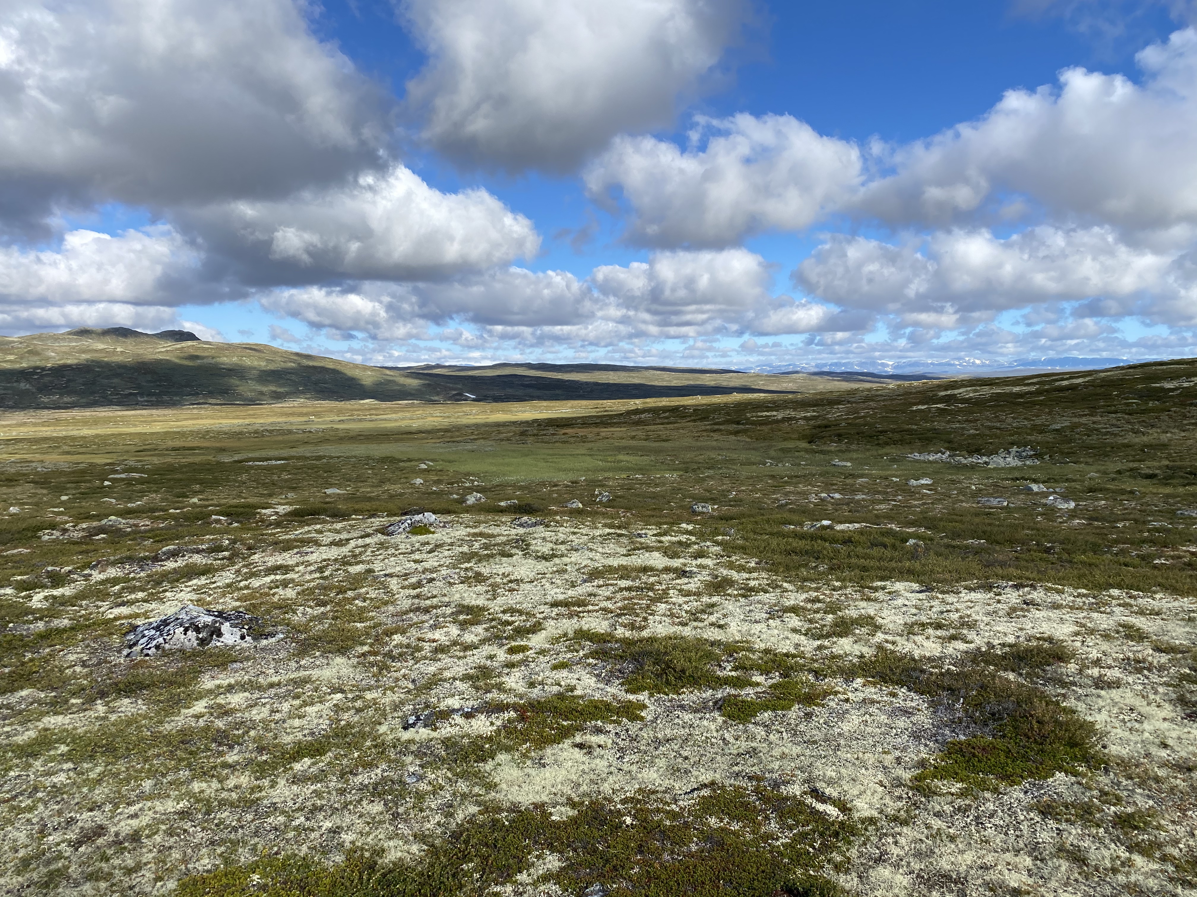 Hardangervidda Tour 2020 Lågaros