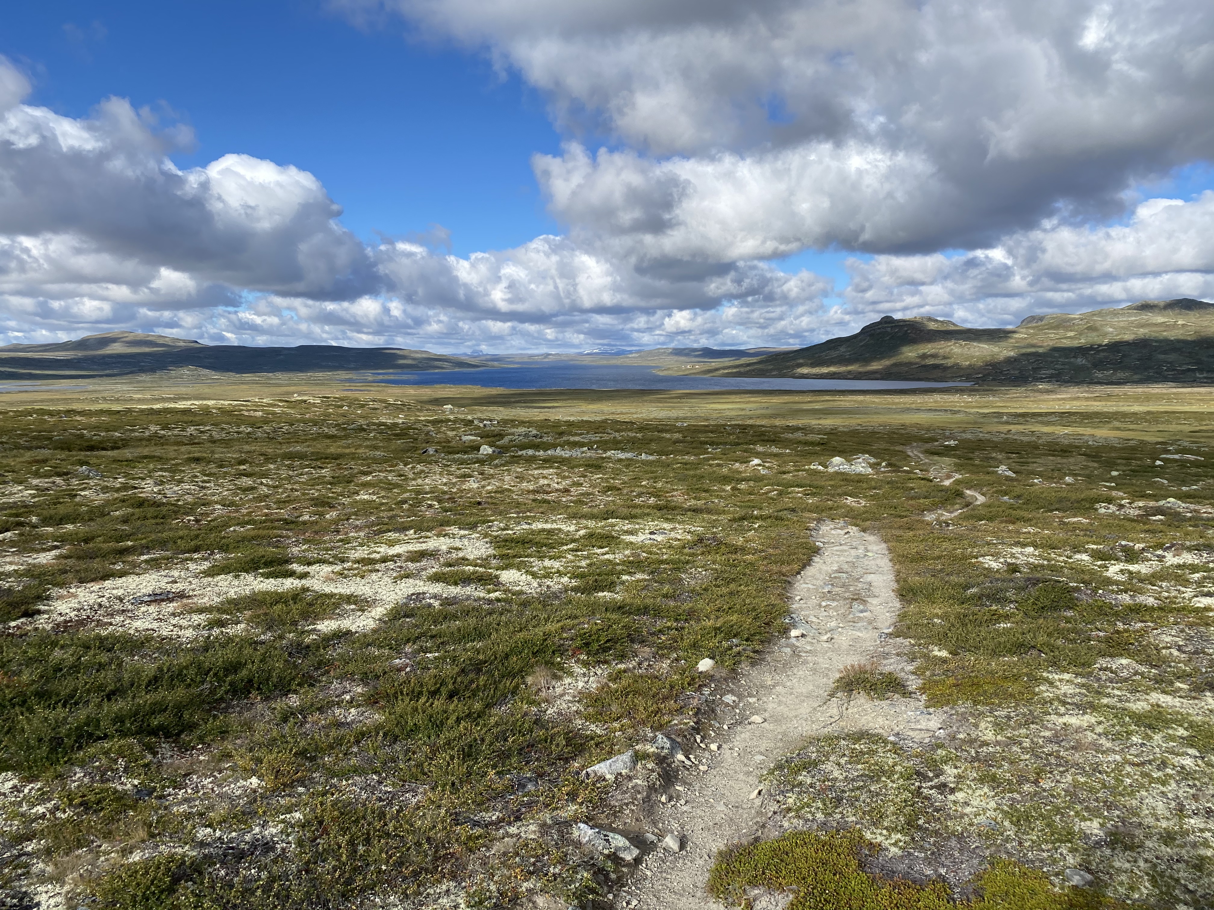 Hardangervidda Tour 2020 Lågaros