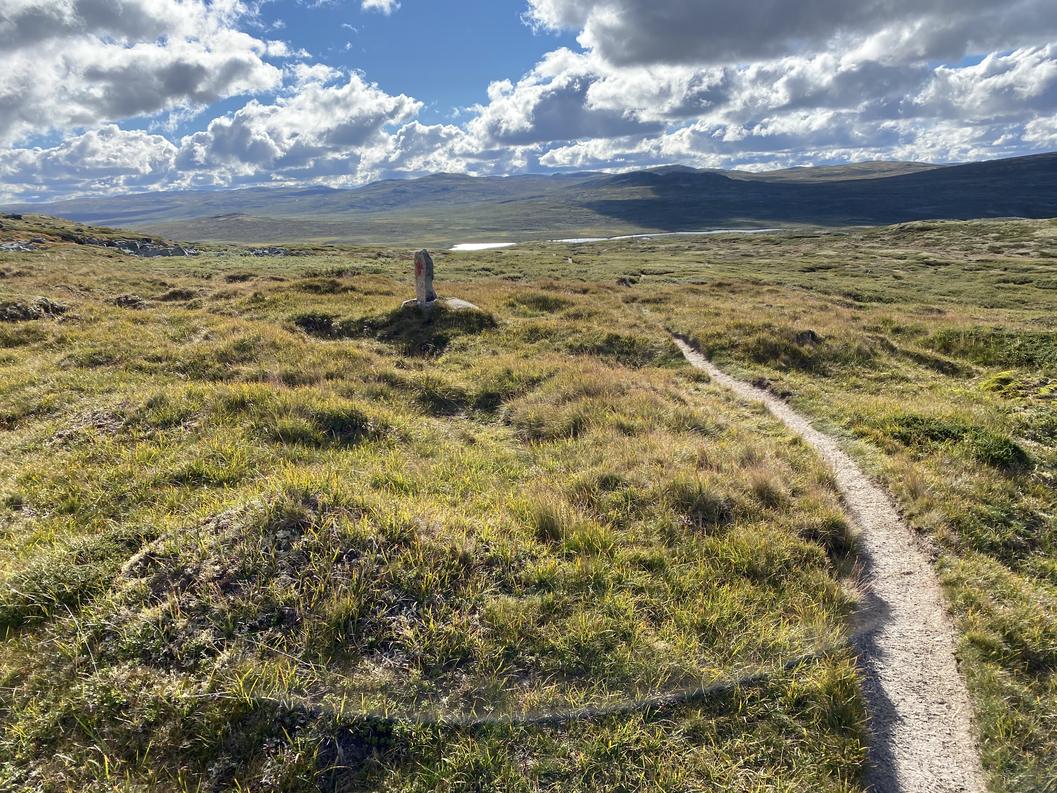 Hardangervidda Tour 2020 Lågaros