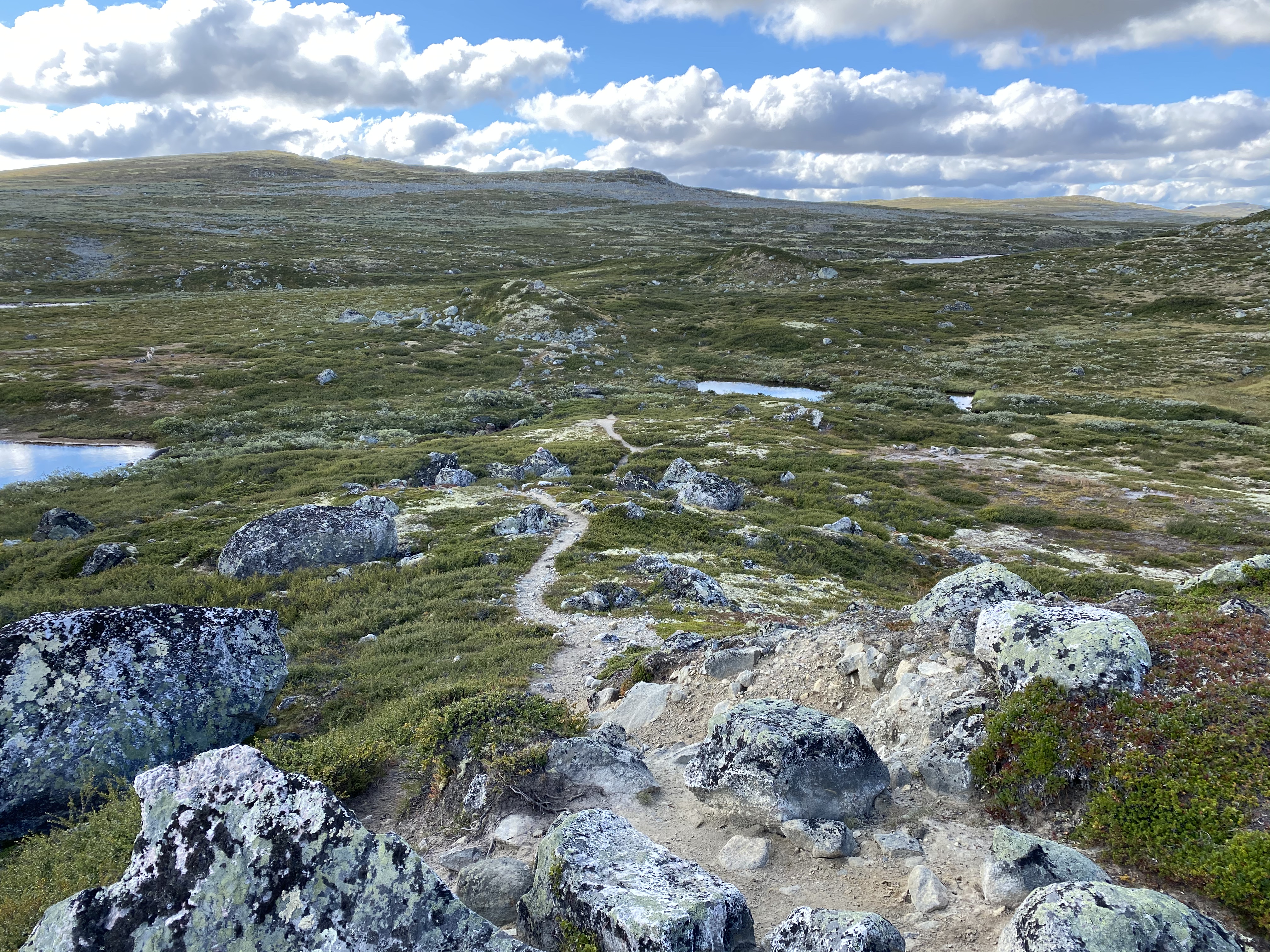 Hardangervidda Tour 2020 Lågaros