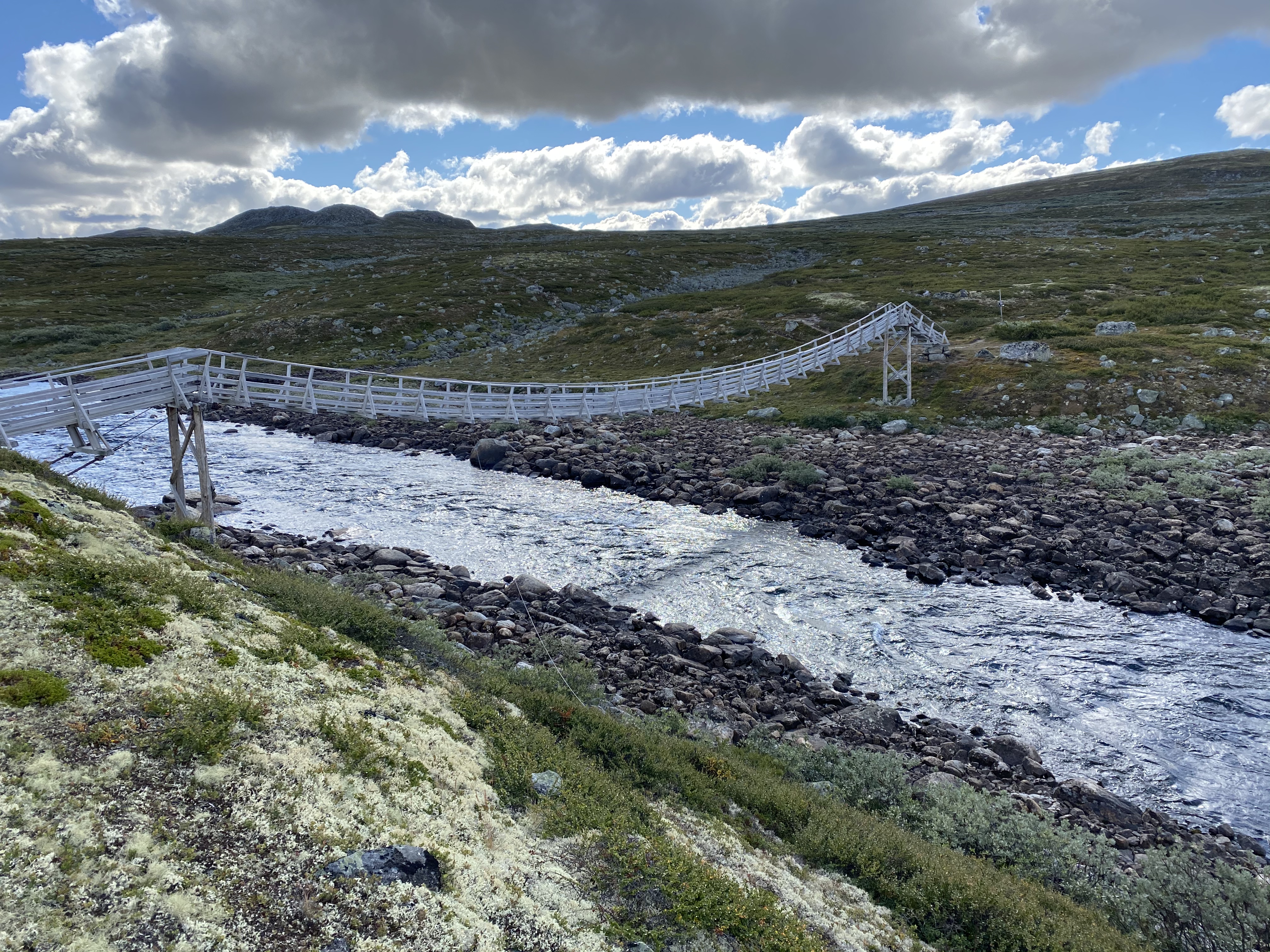 Hardangervidda Tour 2020 Lågaros