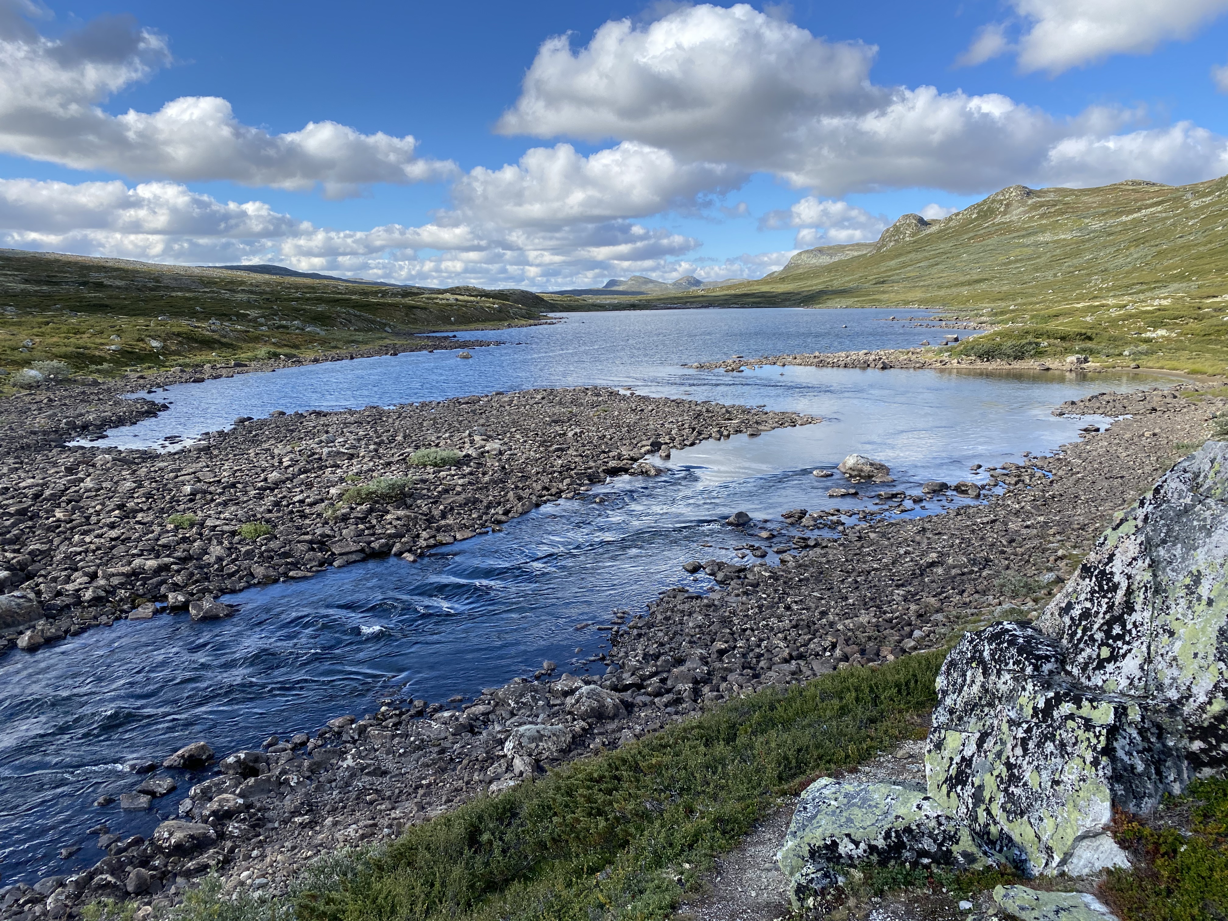 Hardangervidda Tour 2020 Lågaros