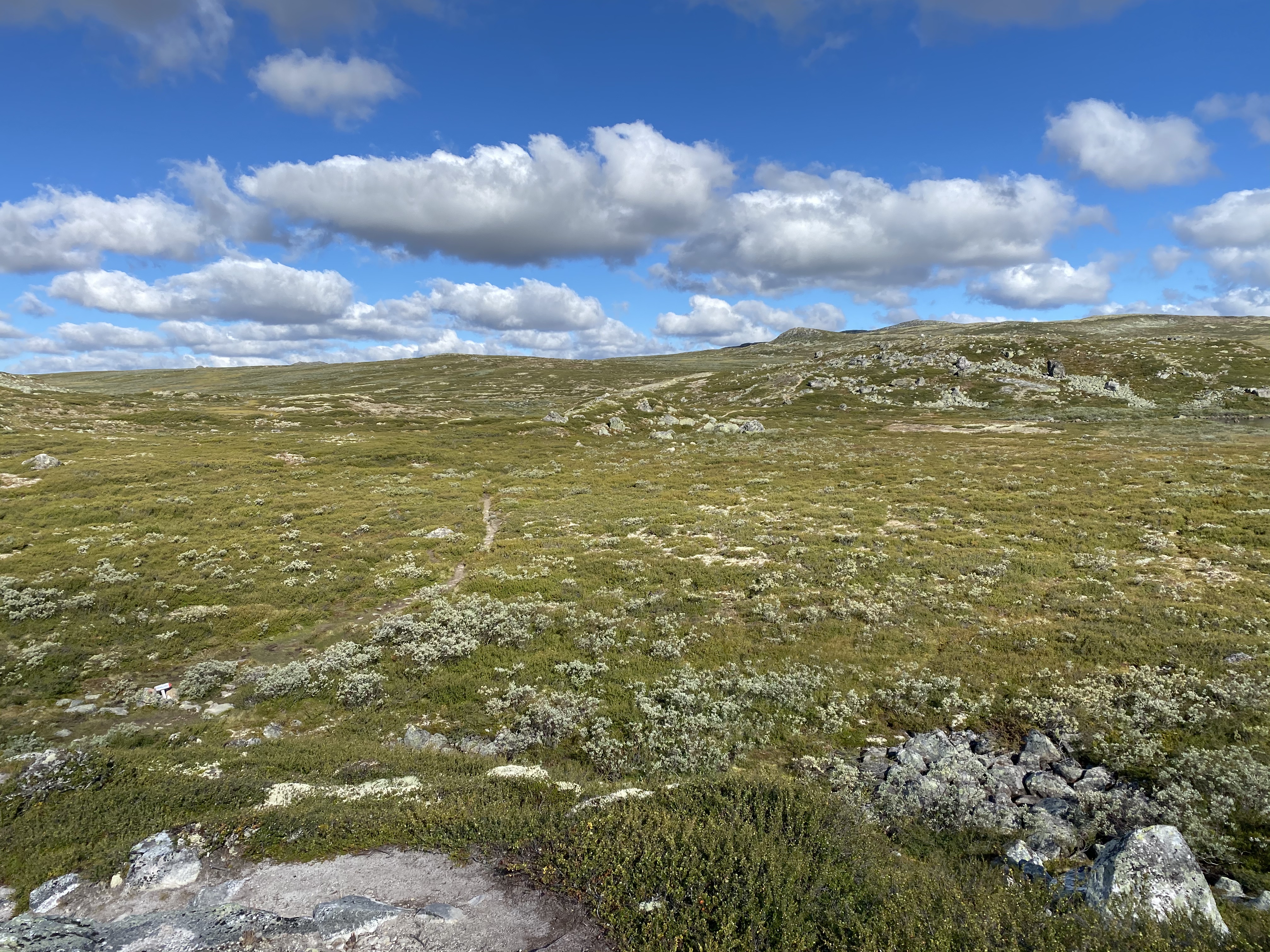 Hardangervidda Tour 2020 Lågaros