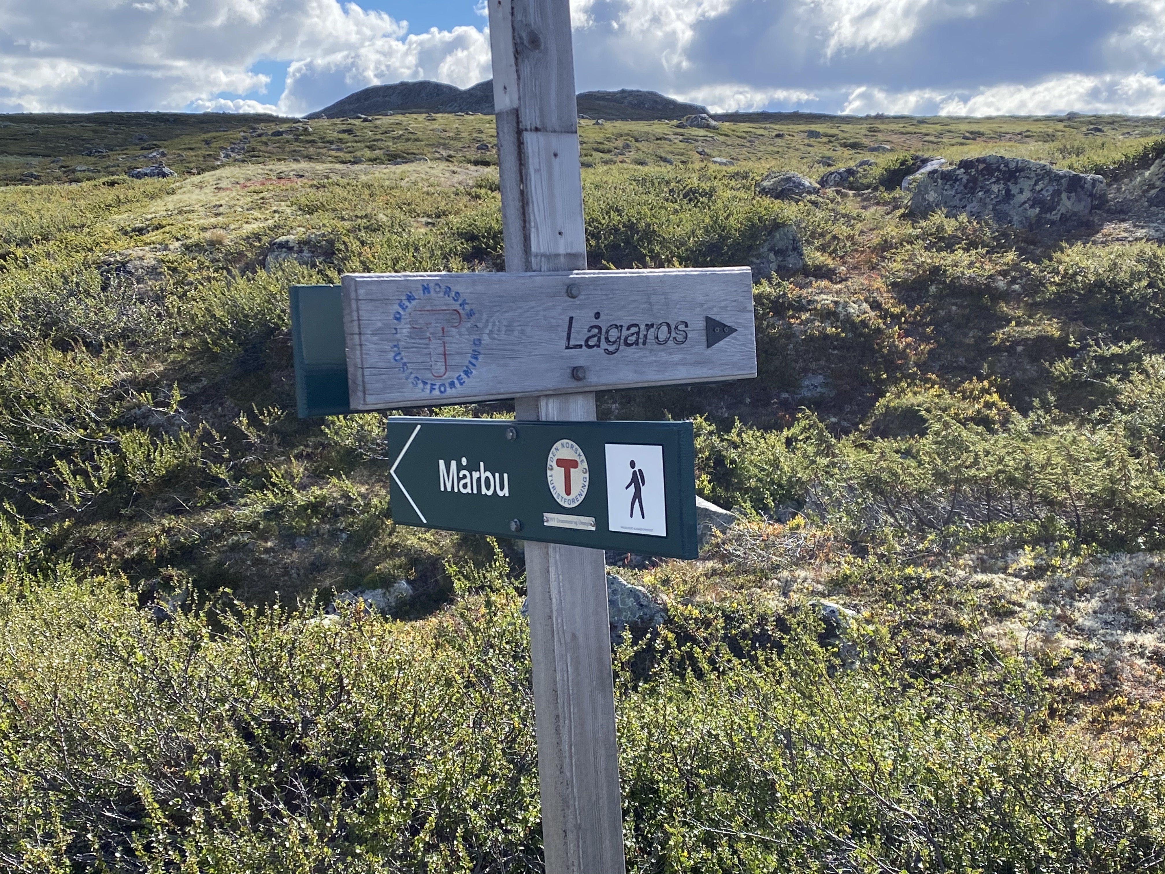 Hardangervidda Tour 2020 Lågaros