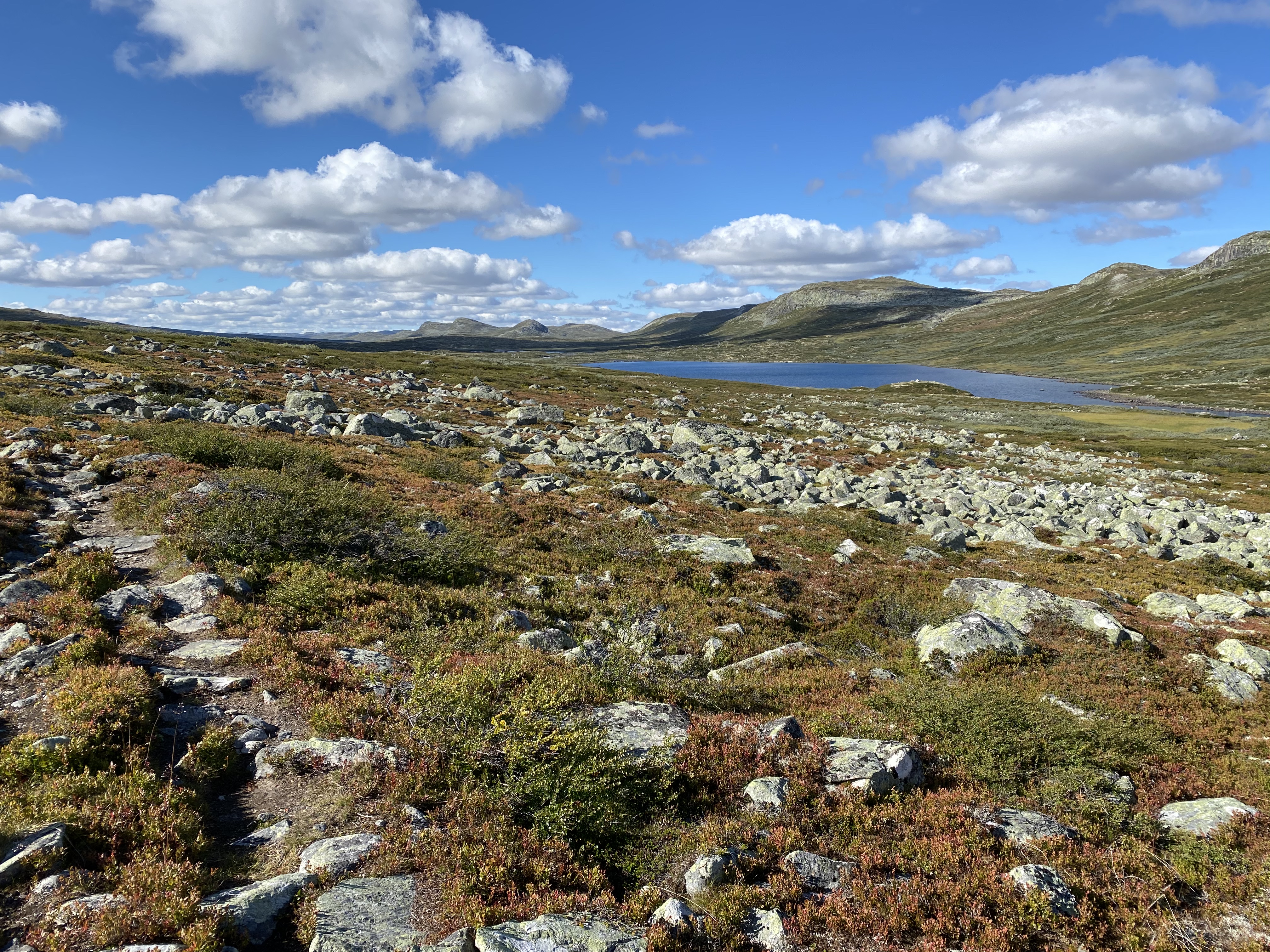 Hardangervidda Tour 2020 Lågaros