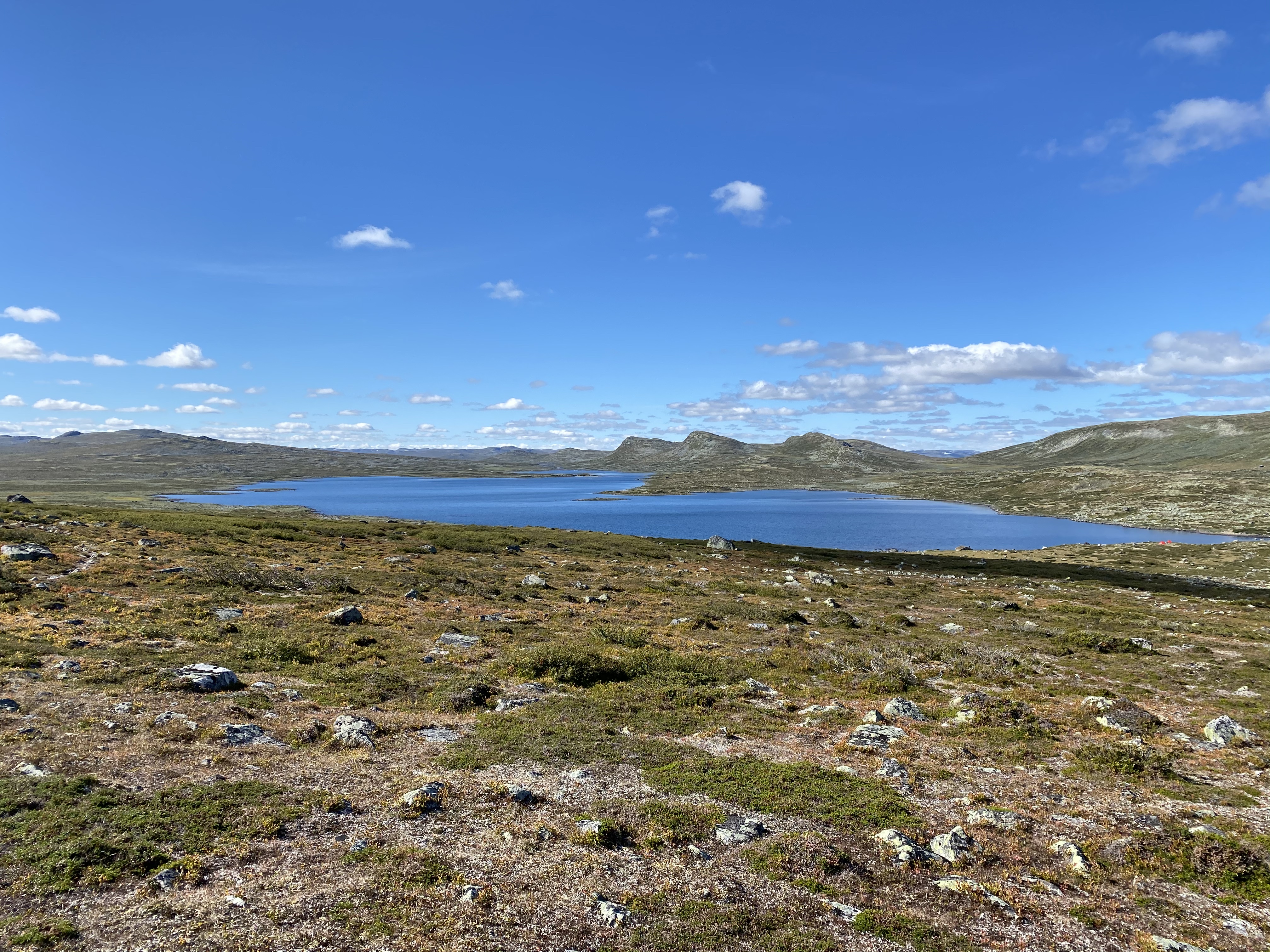 Hardangervidda Tour 2020 Lågaros