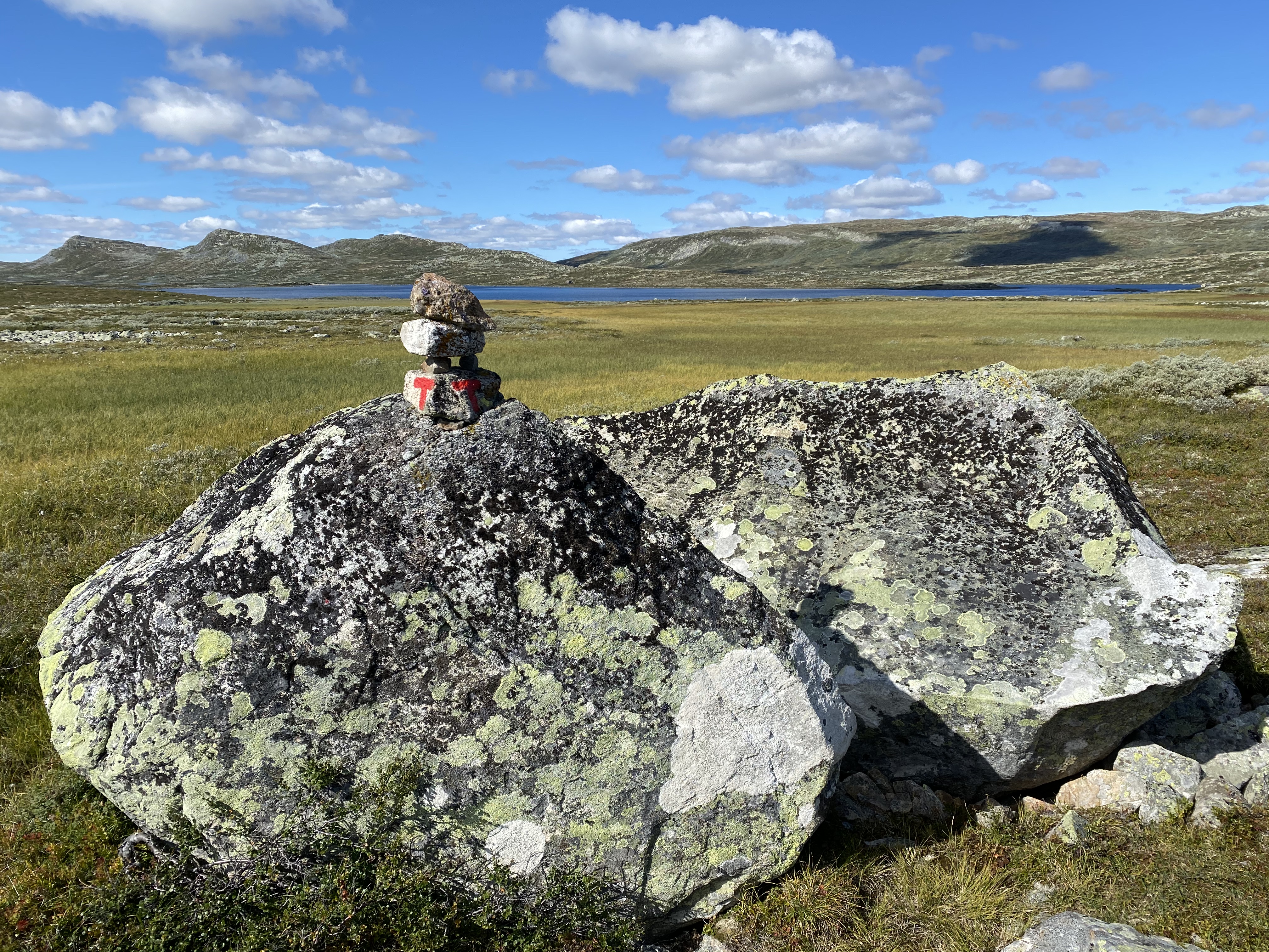 Hardangervidda Tour 2020 Lågaros