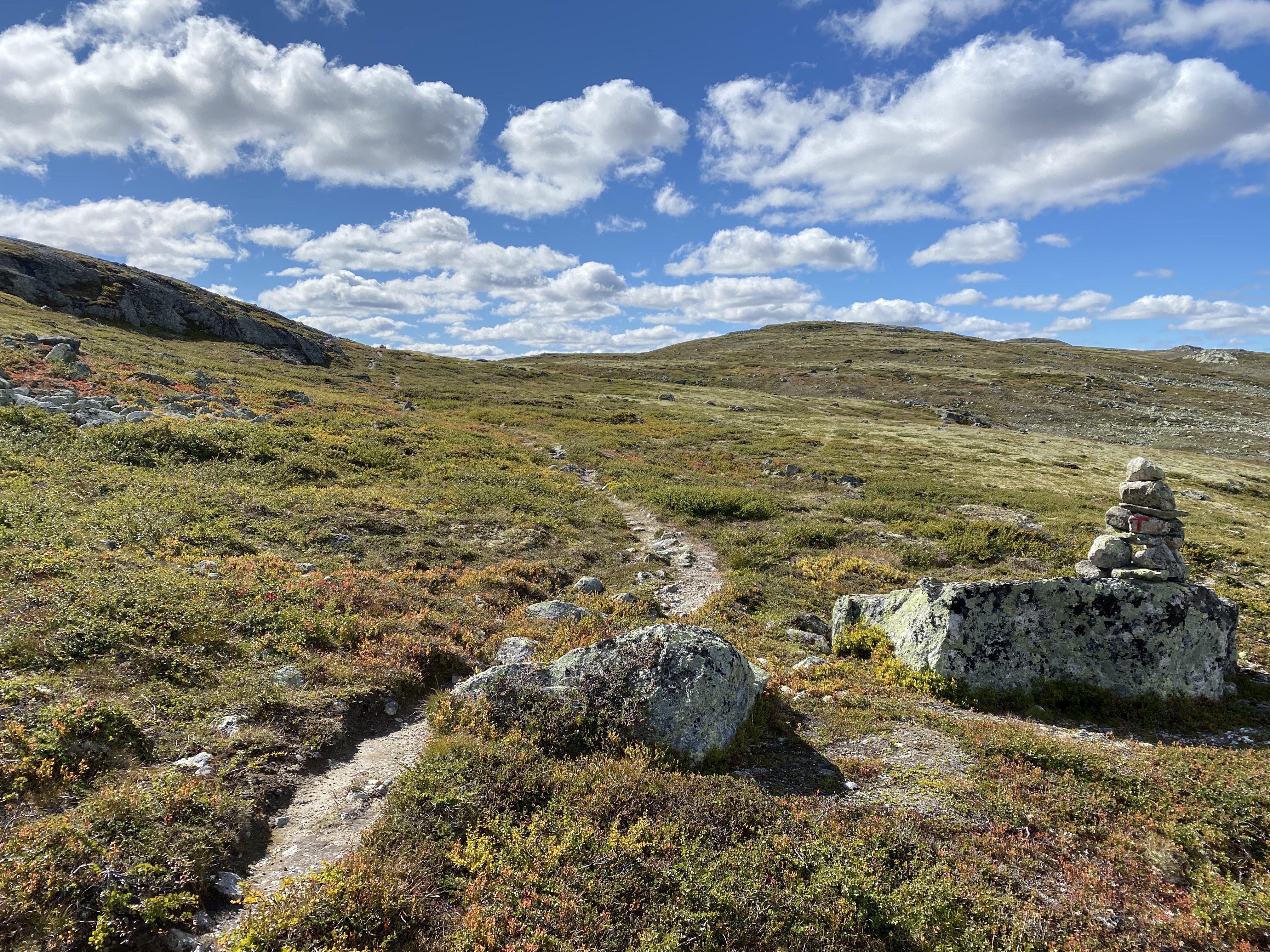 Hardangervidda Tour 2020 Lågaros