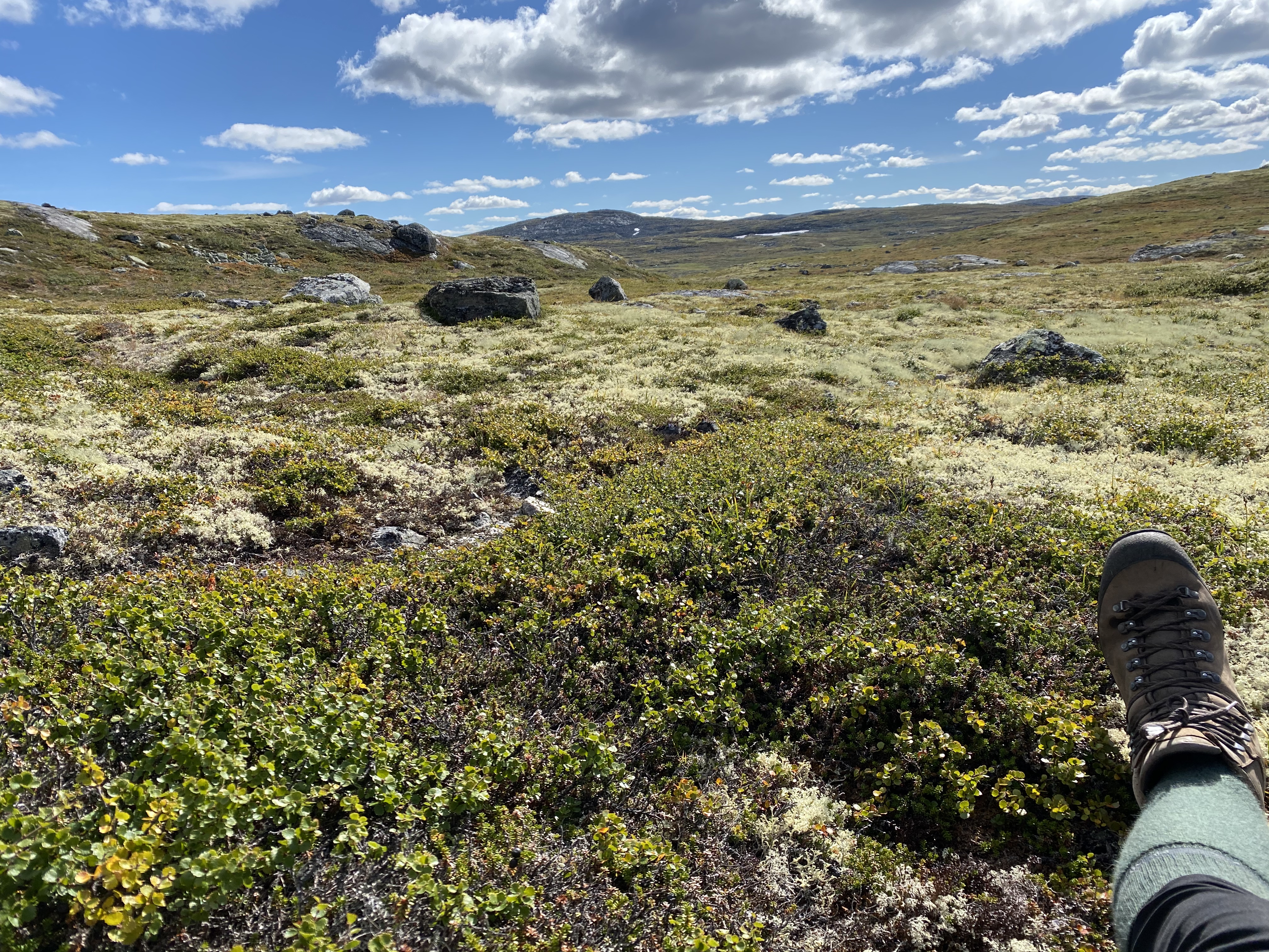 Hardangervidda Tour 2020 Lågaros