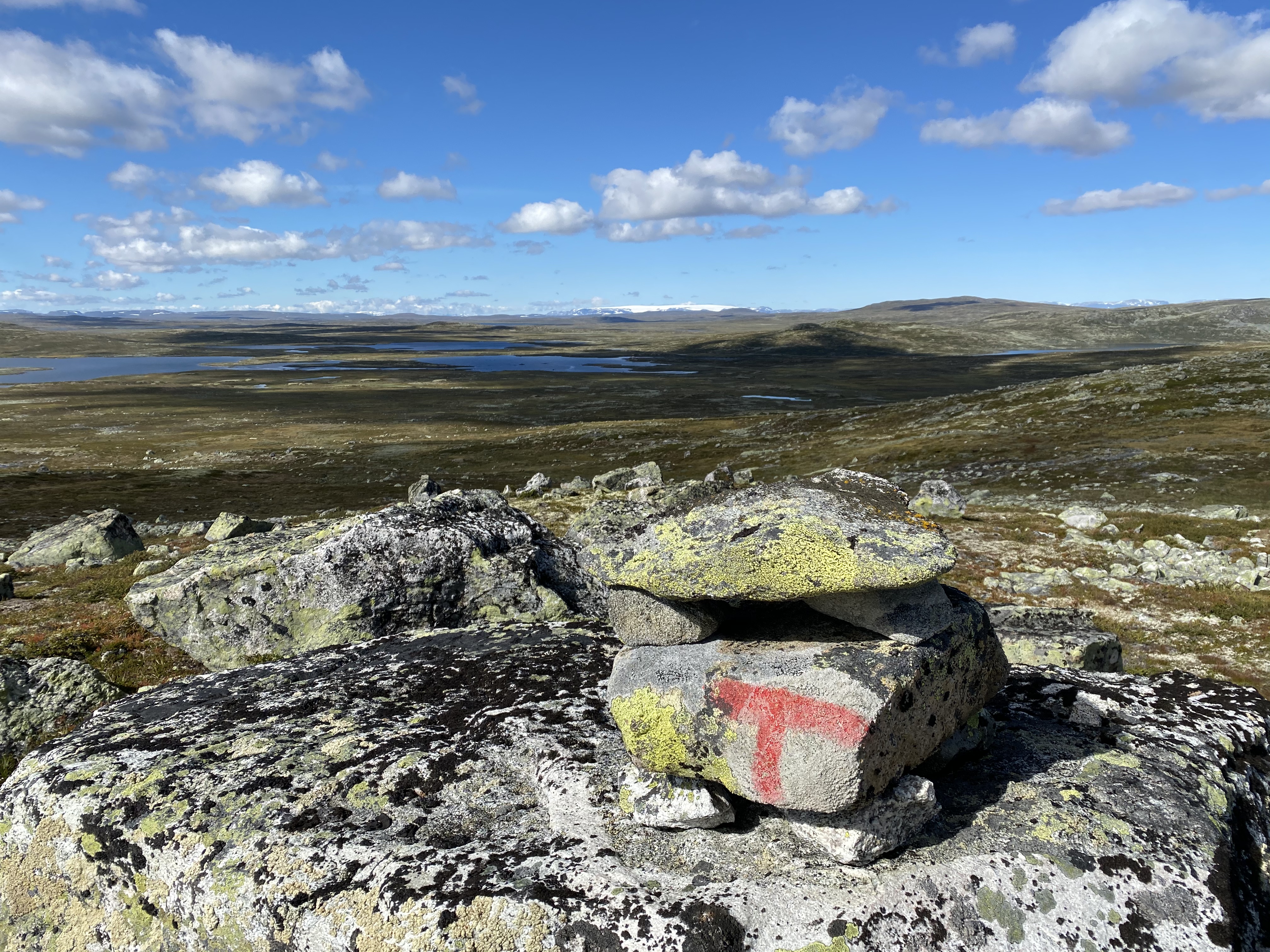 Hardangervidda Tour 2020 Lågaros