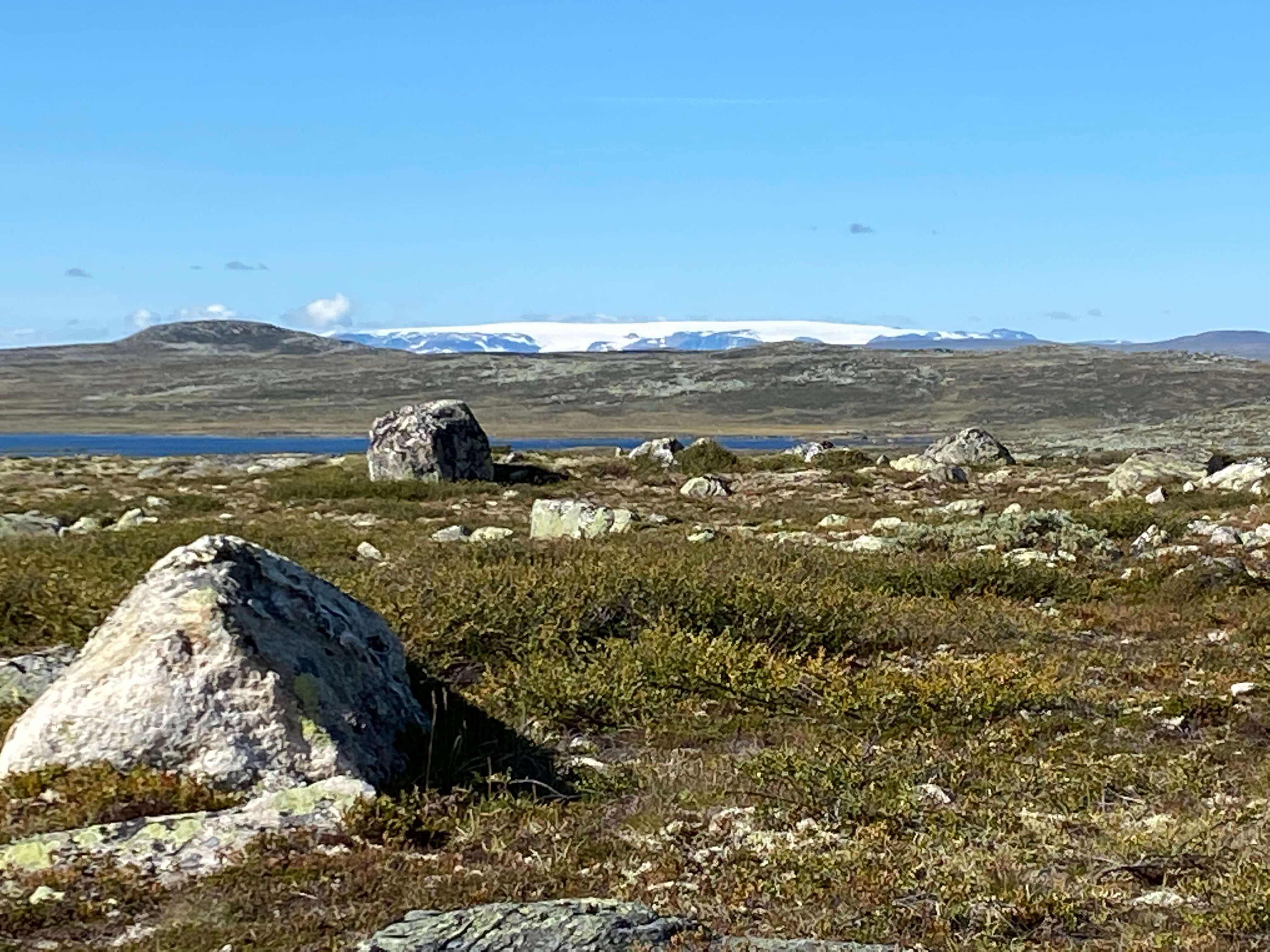 Hardangervidda Tour 2020 Lågaros