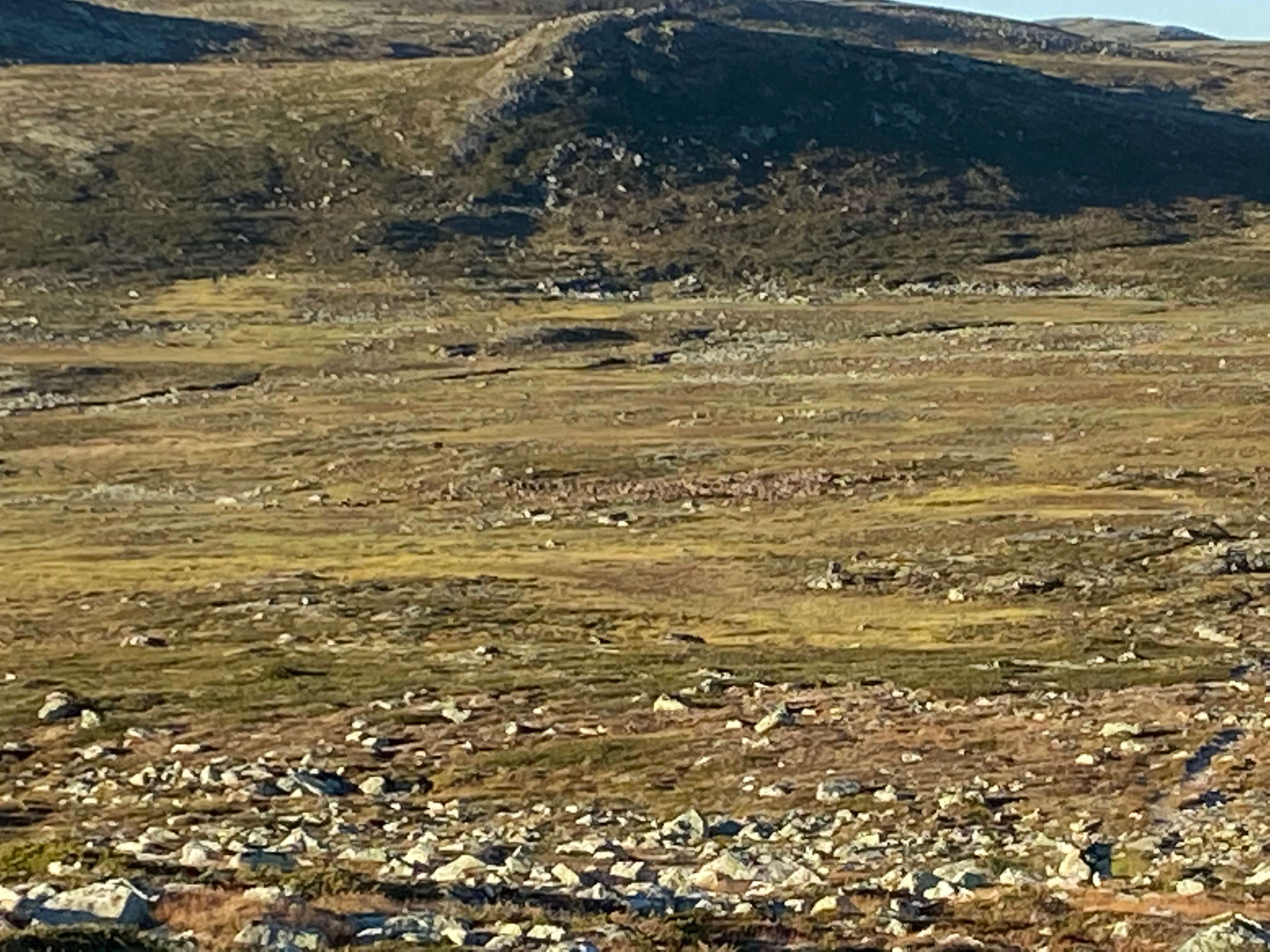 Hardangervidda Tour 2020 Lågaros