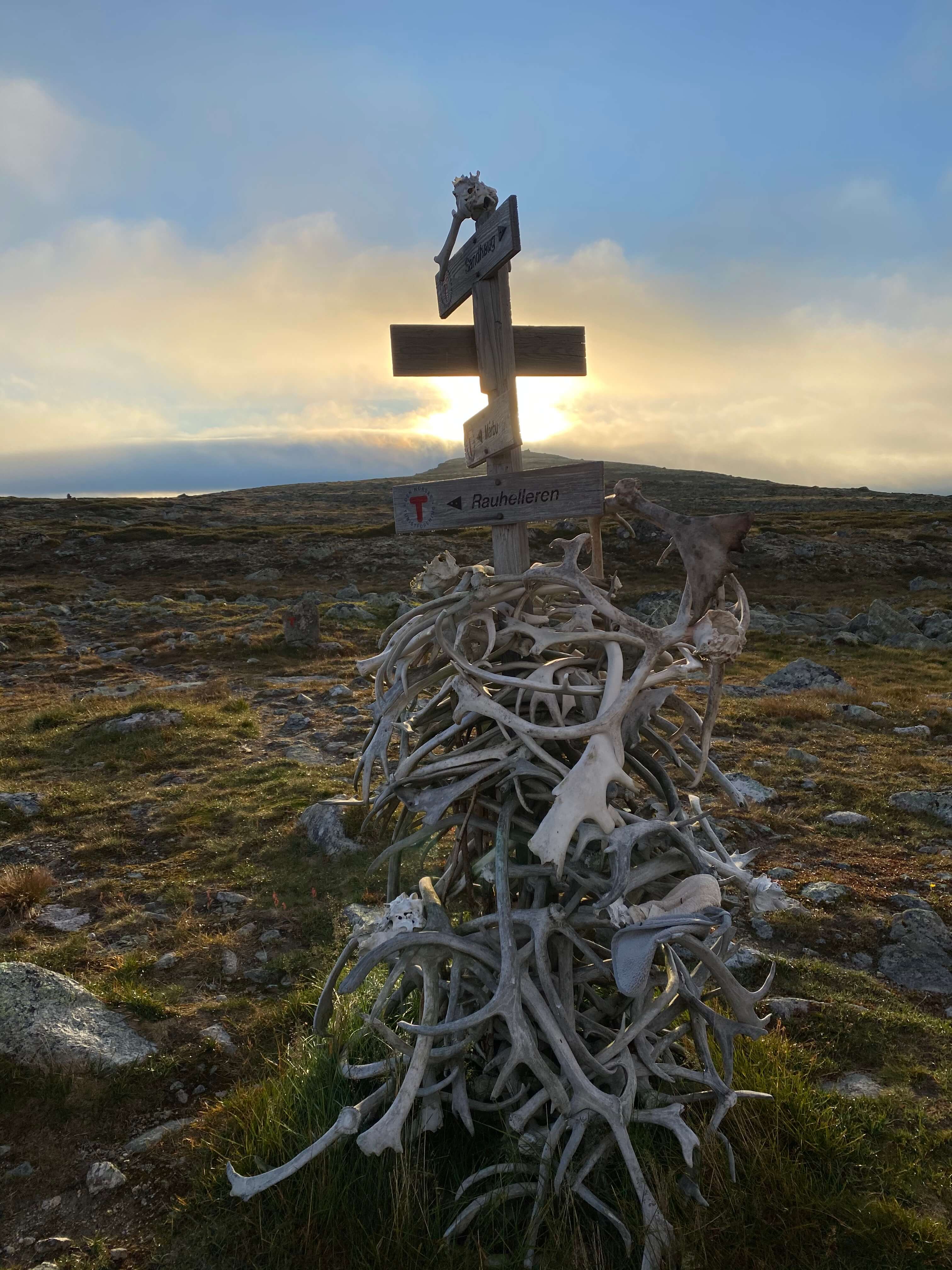 Hardangervidda Tour 2020 Lågaros