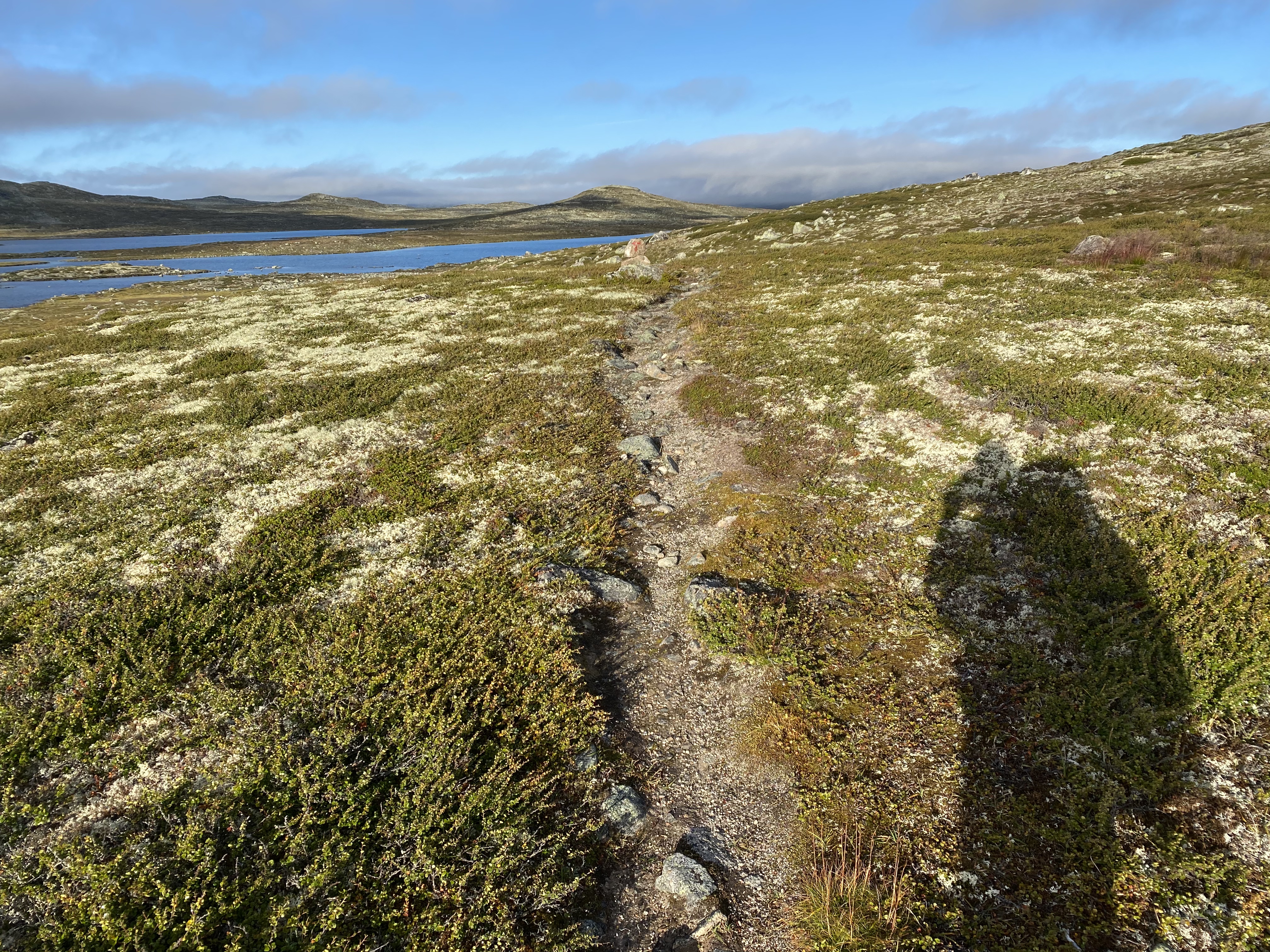 Hardangervidda Tour 2020 Lågaros