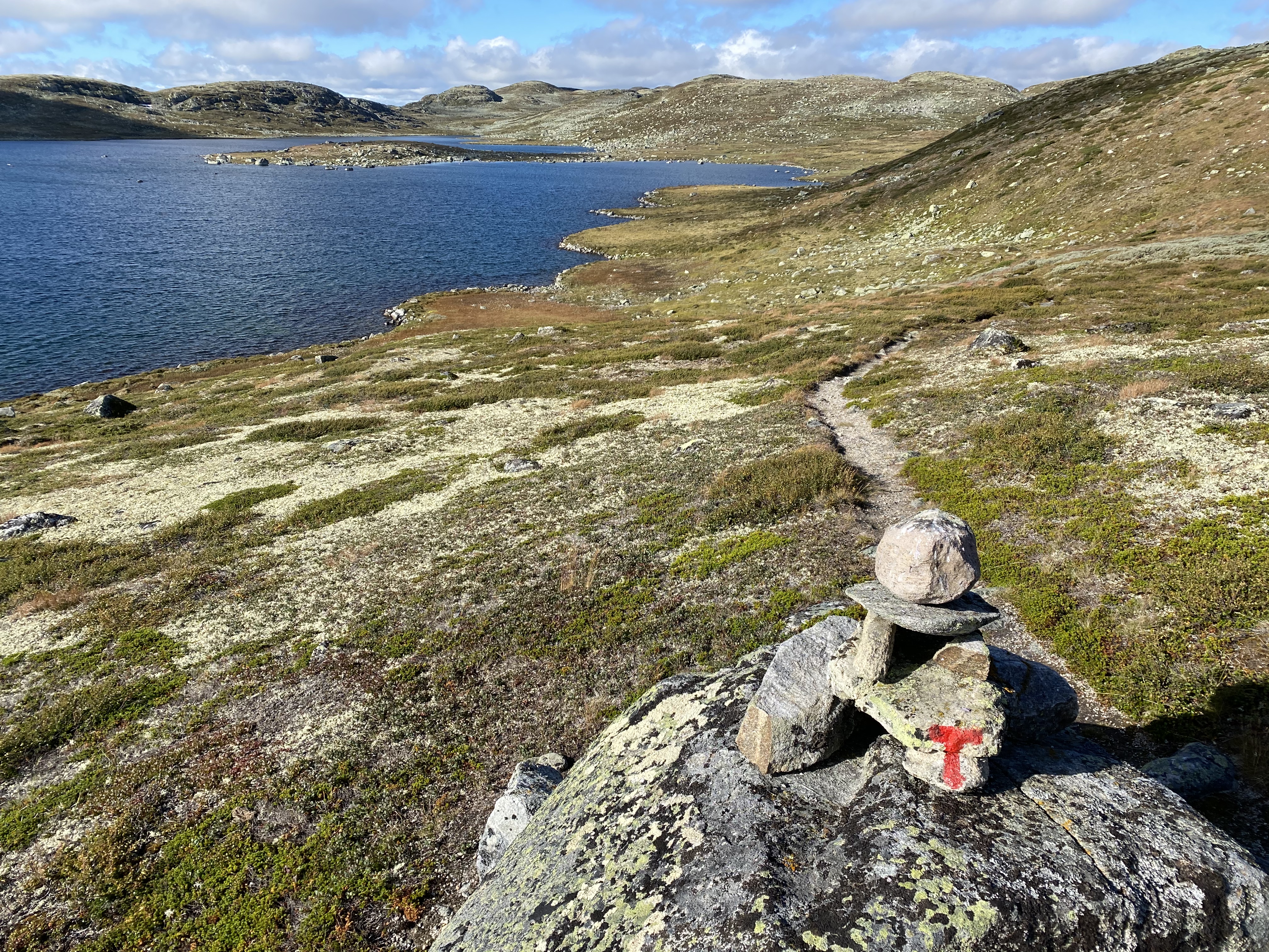 Hardangervidda Tour 2020 Lågaros