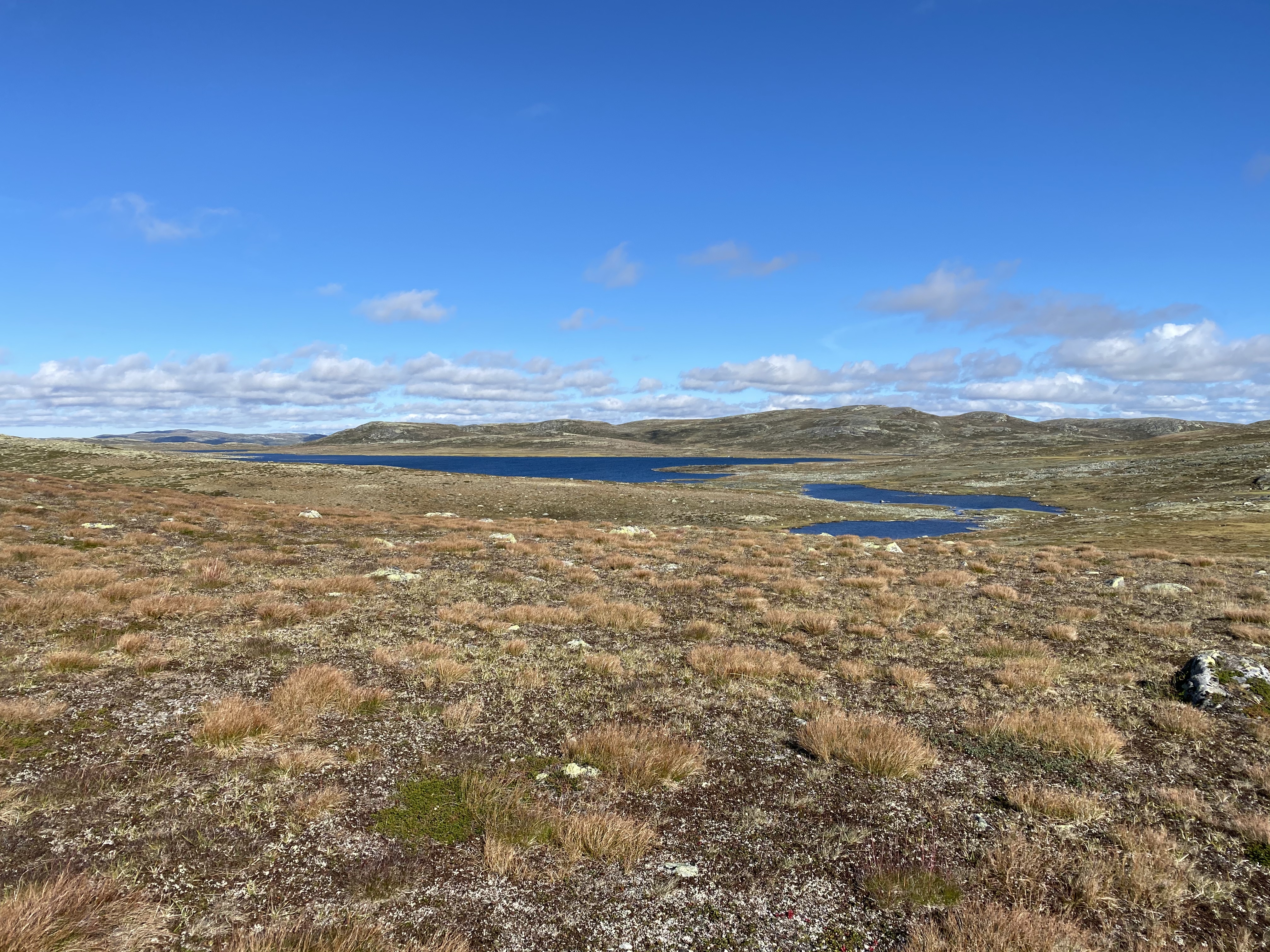Hardangervidda Tour 2020 Lågaros