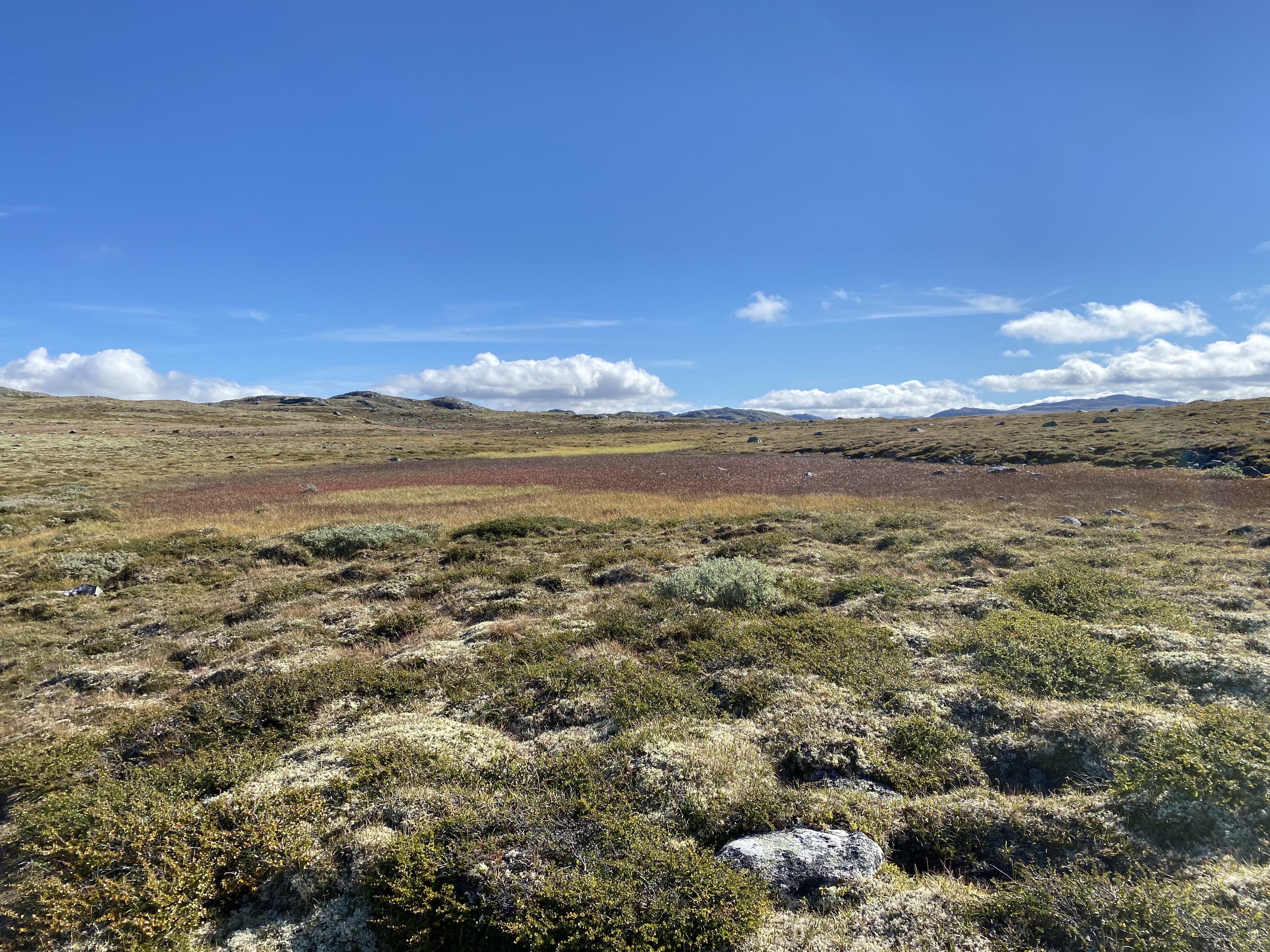 Hardangervidda Tour 2020 Lågaros
