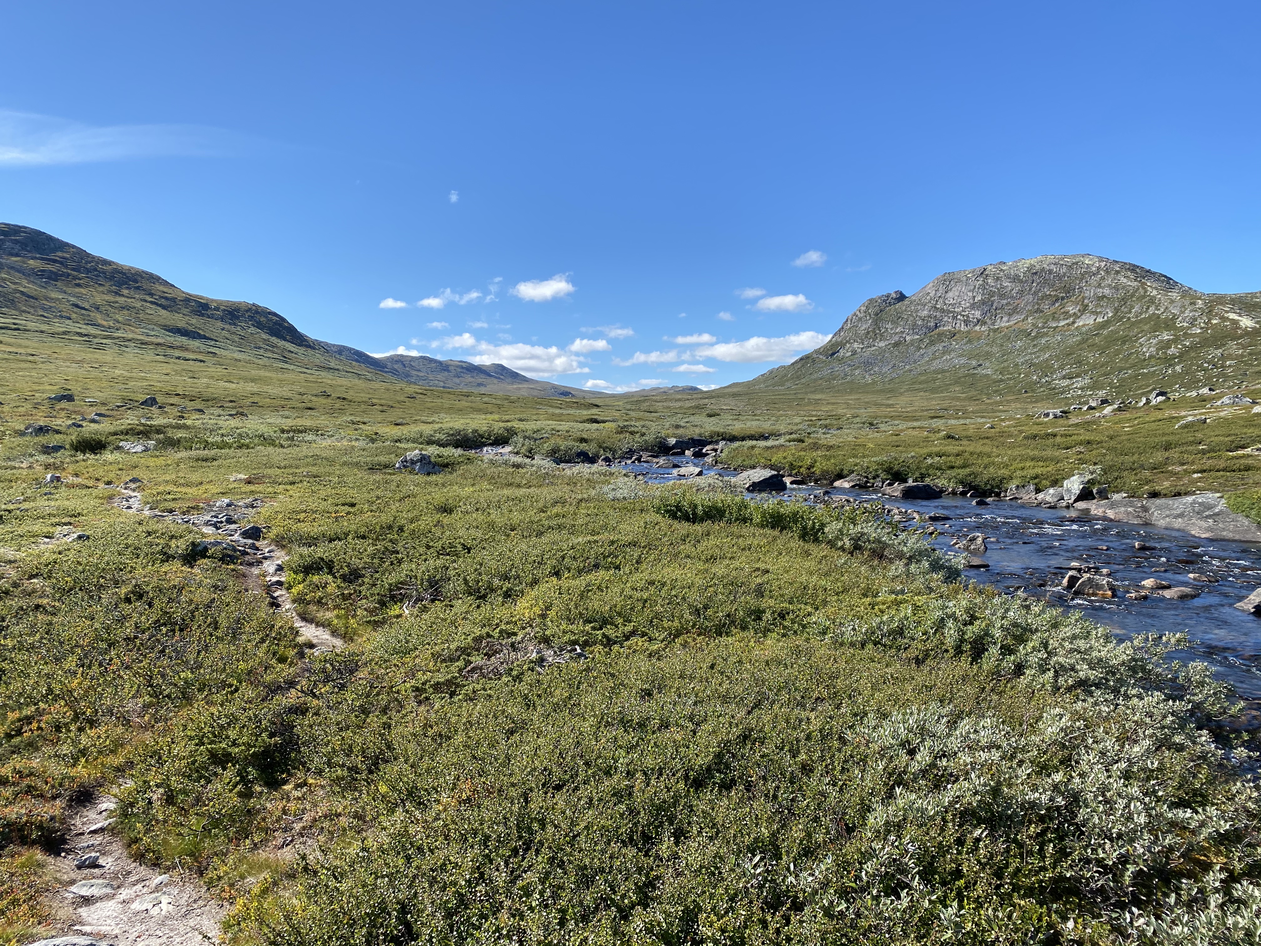 Hardangervidda Tour 2020 Lågaros