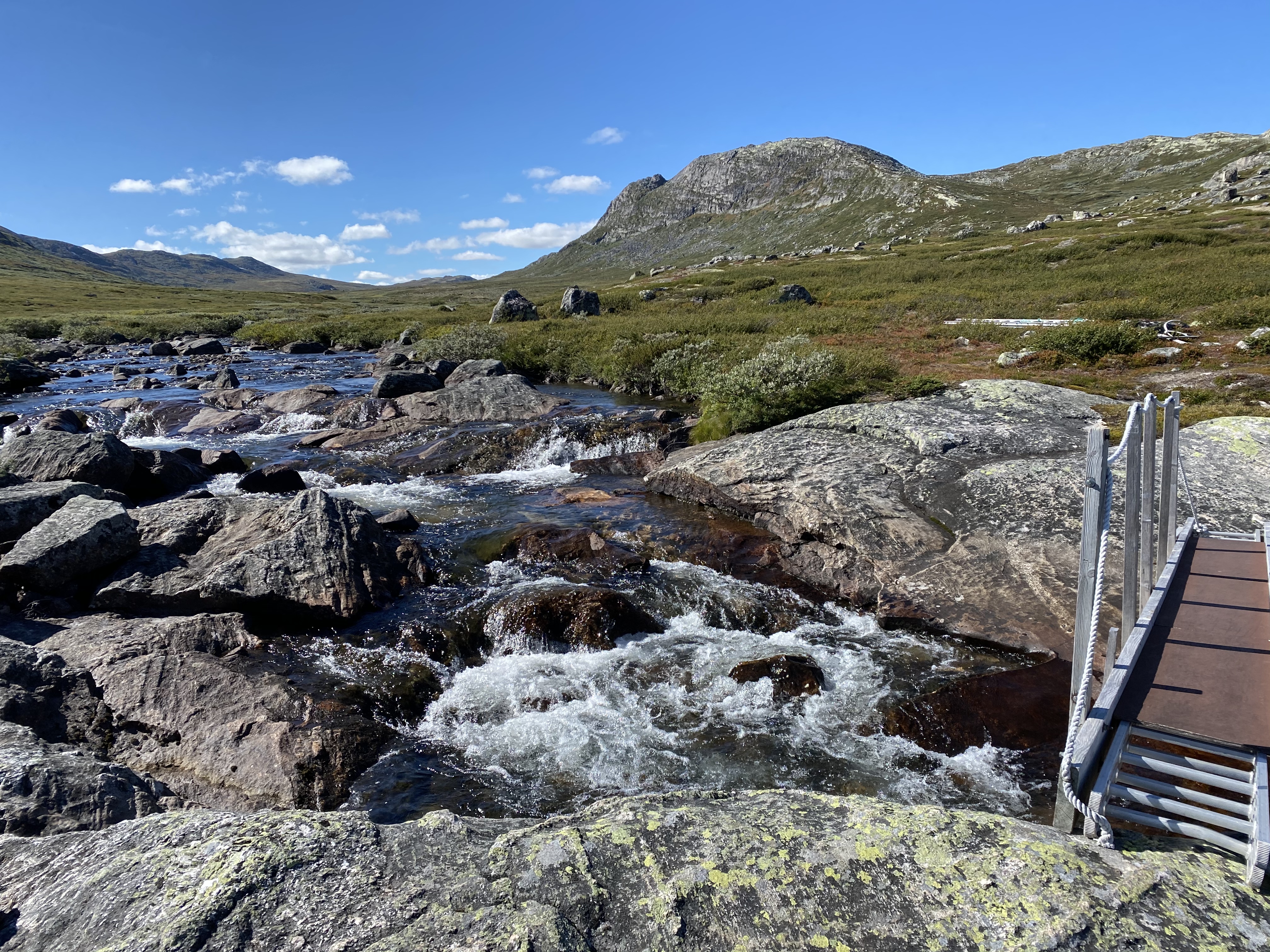 Hardangervidda Tour 2020 Lågaros