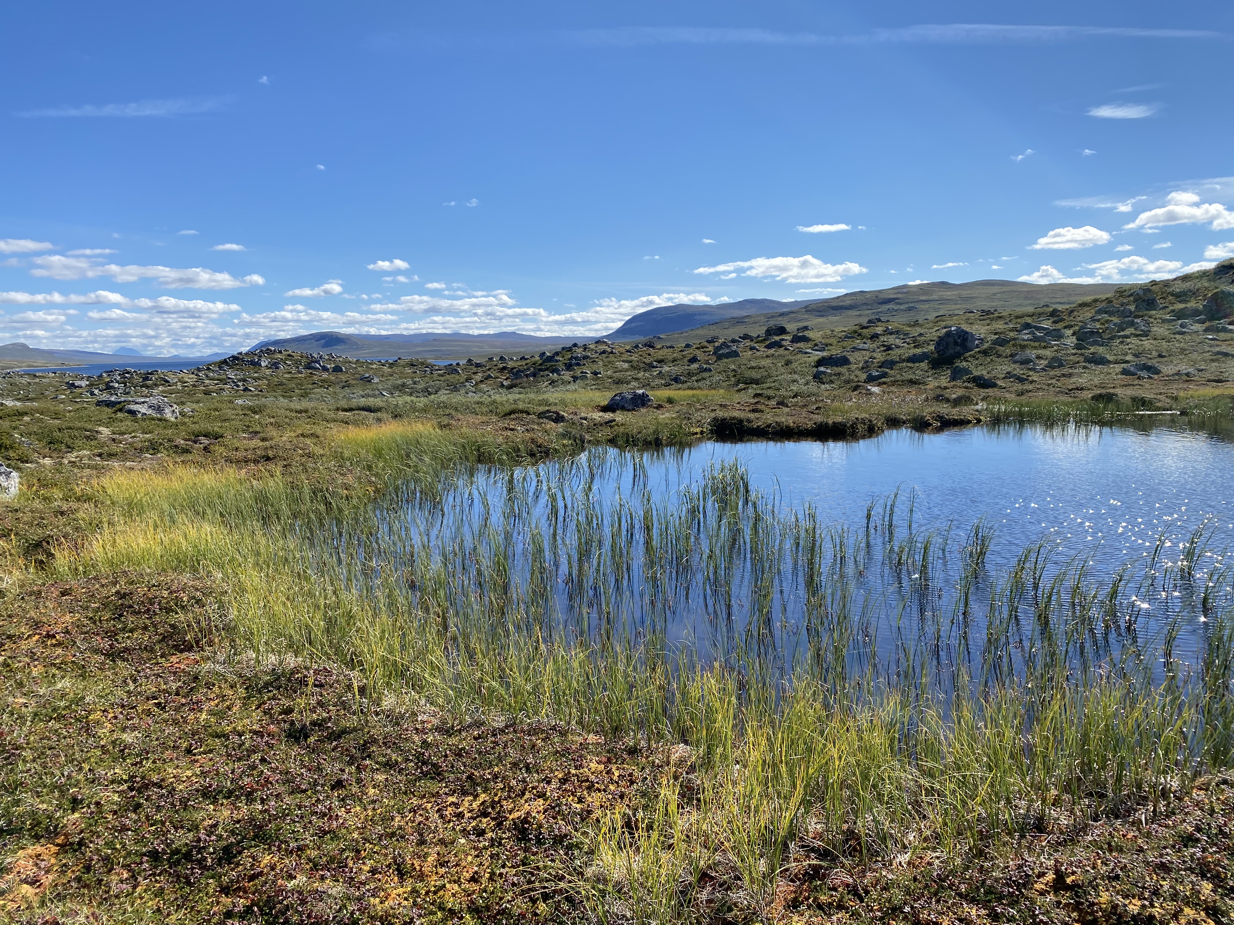 Hardangervidda Tour 2020 Lågaros