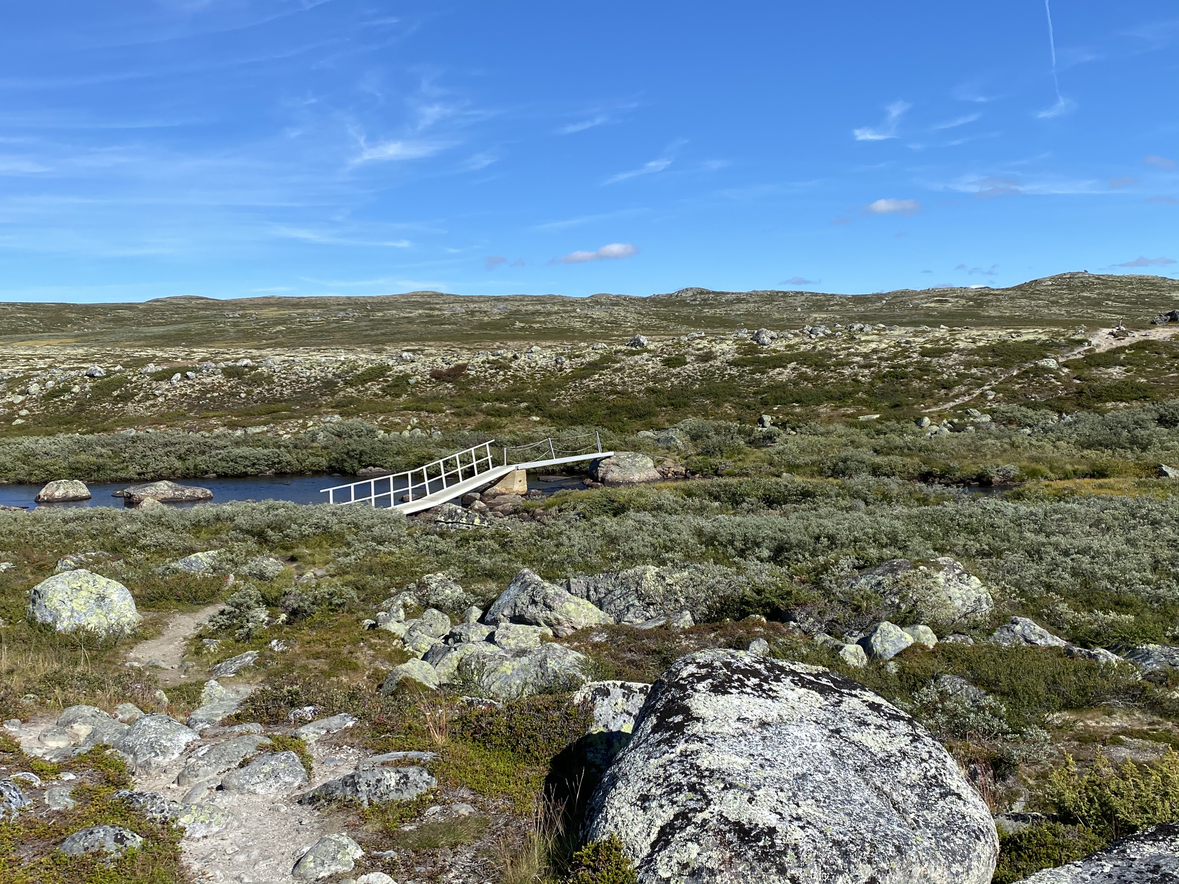 Hardangervidda Tour 2020 Lågaros