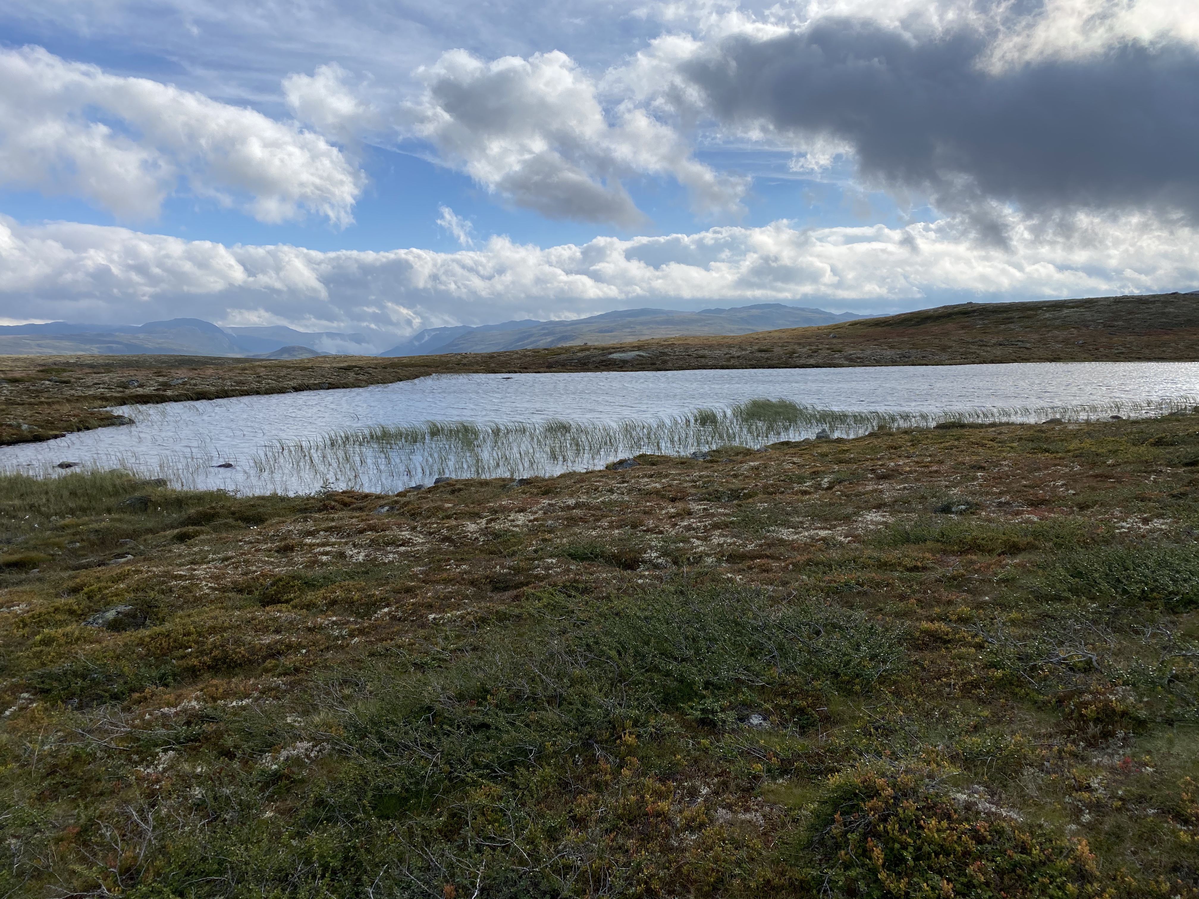 Hardangervidda Tour 2020 Kalhovd