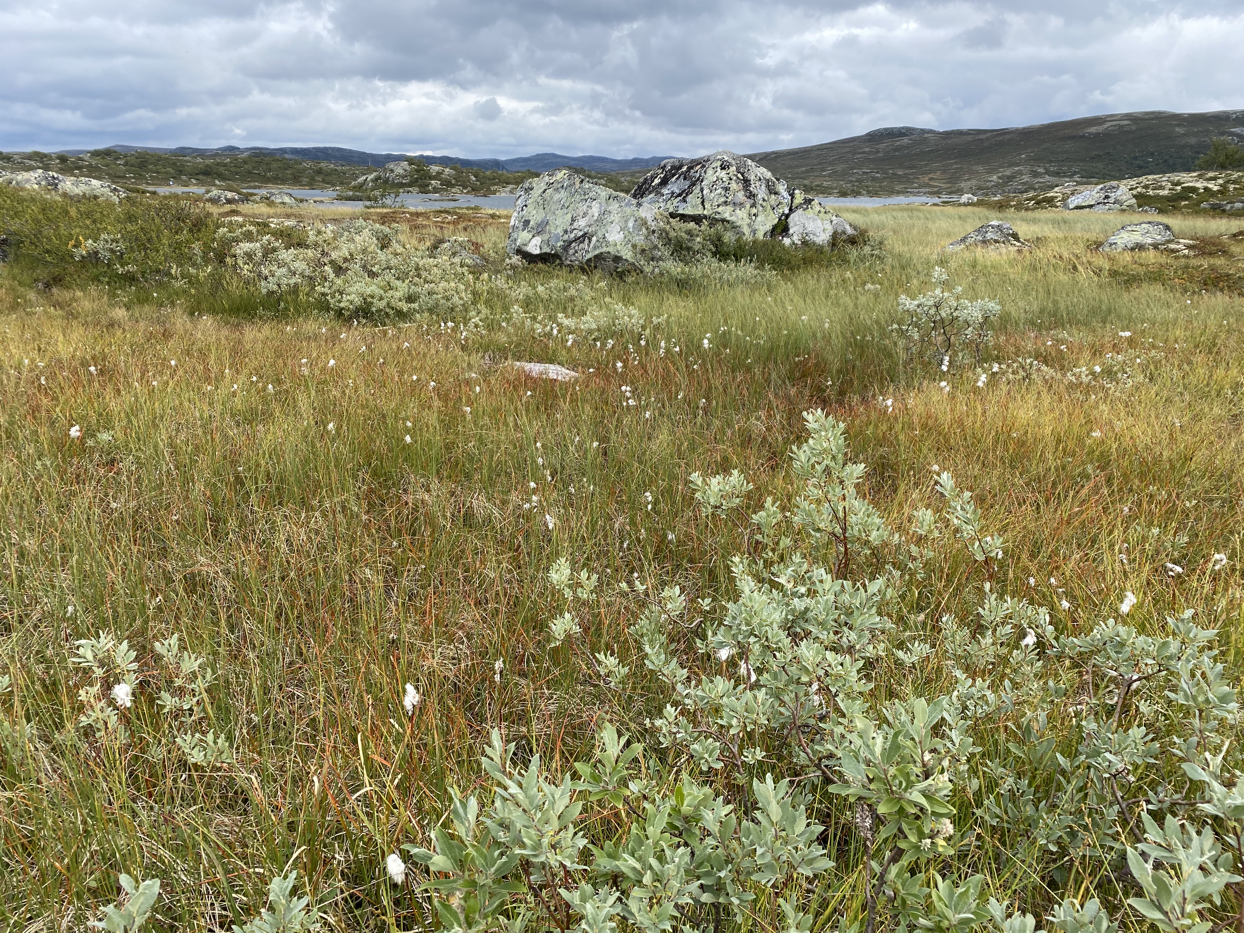 Hardangervidda Tour 2020 Kalhovd