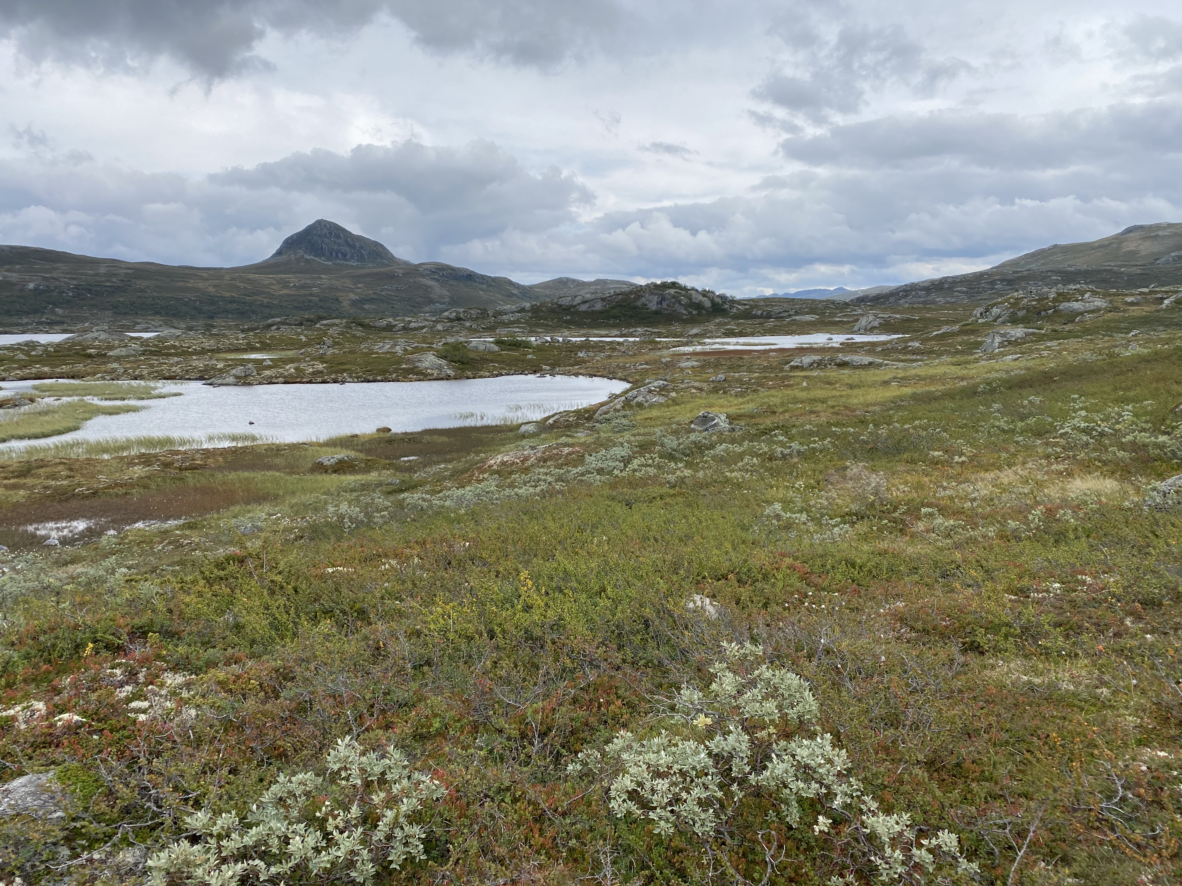 Hardangervidda Tour 2020 Kalhovd