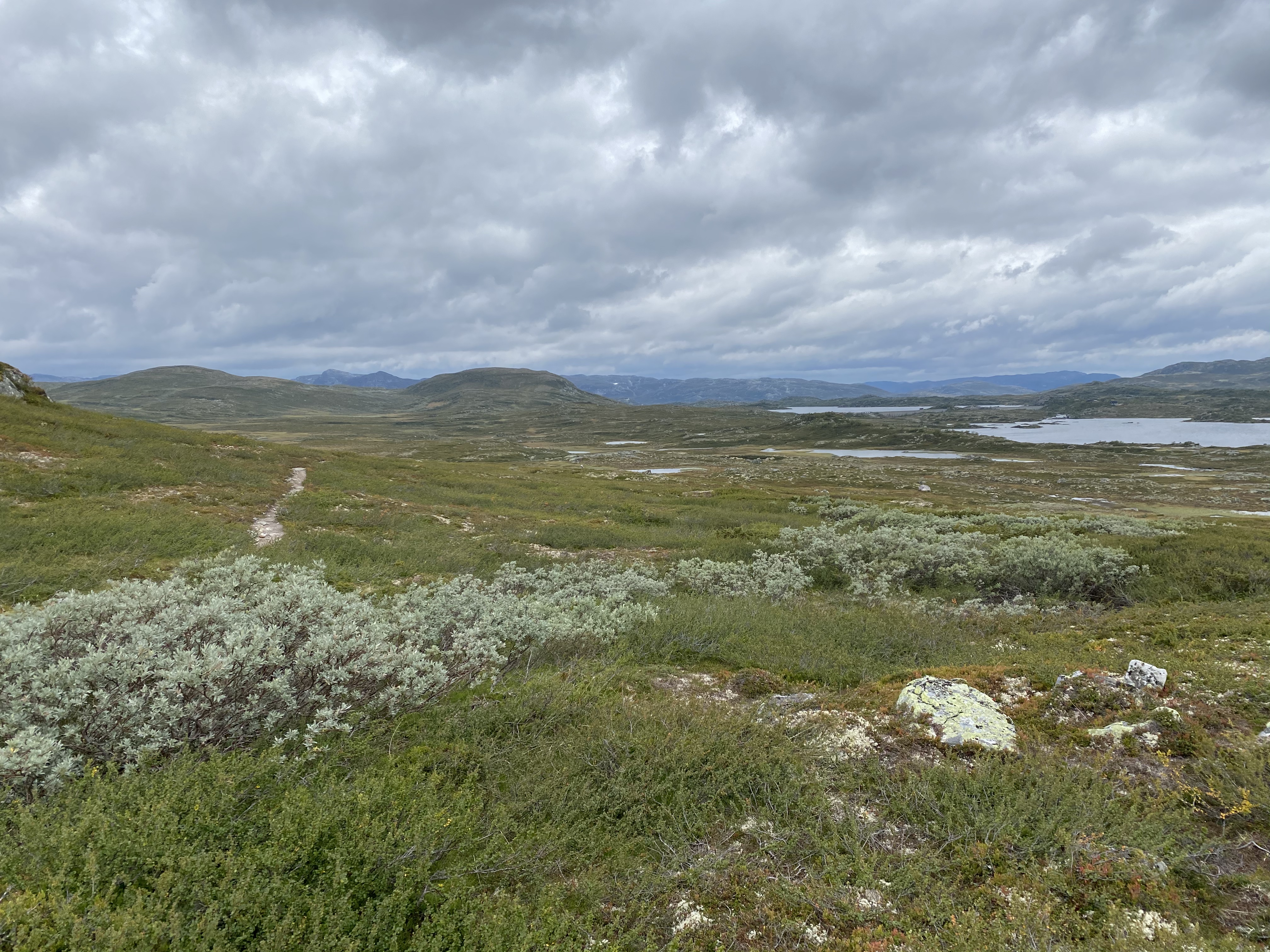 Hardangervidda Tour 2020 Kalhovd