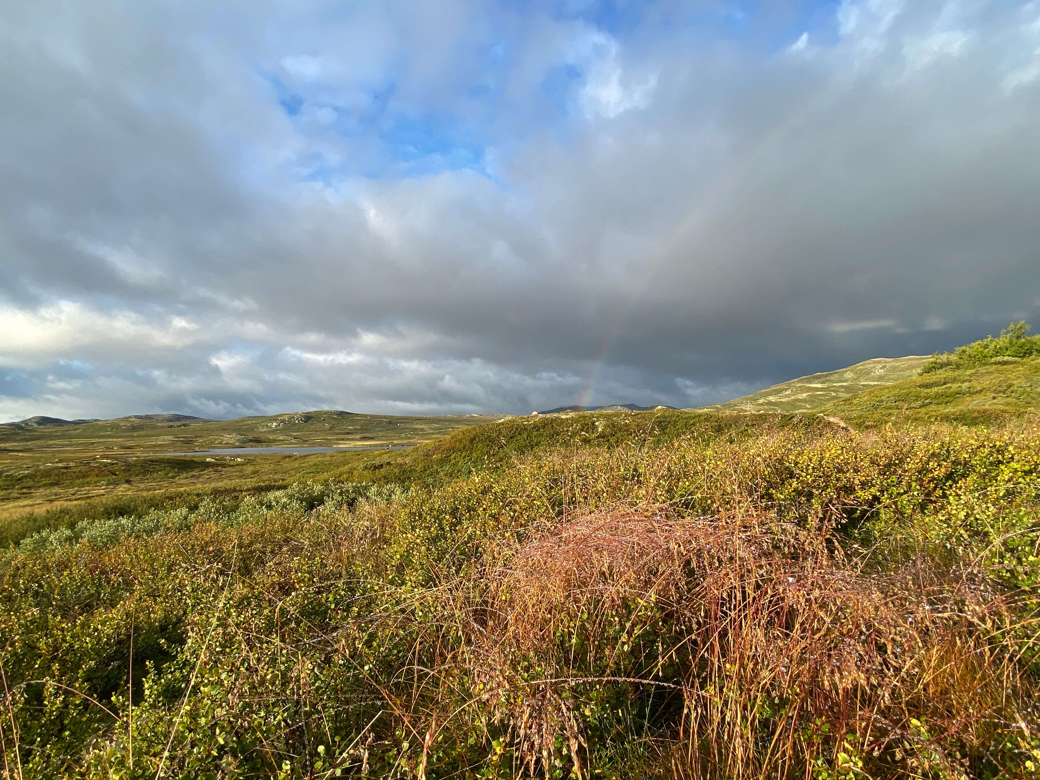 Hardangervidda Tour 2020 Helberghytta