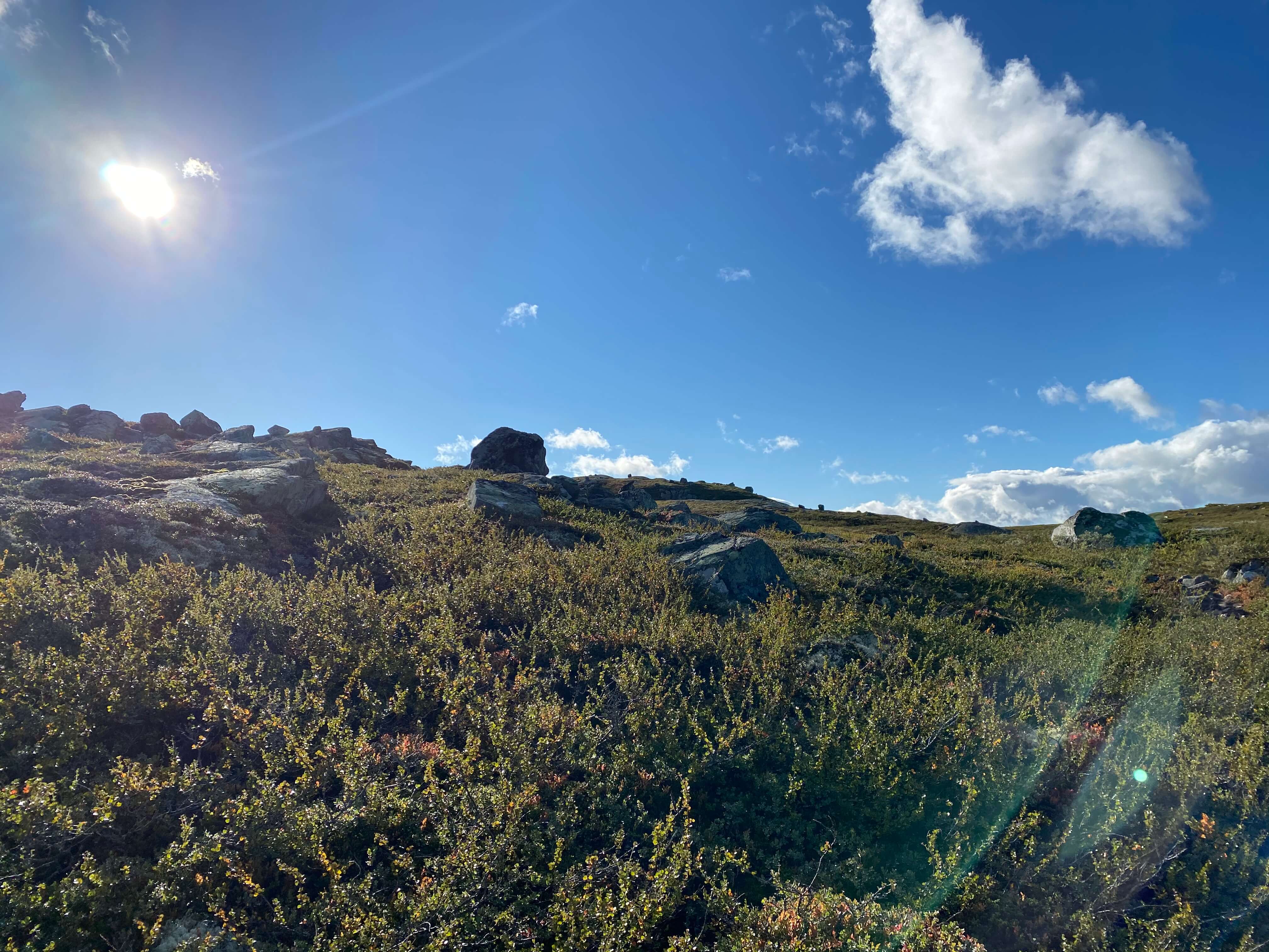 Hardangervidda Tour 2020 Helberghytta
